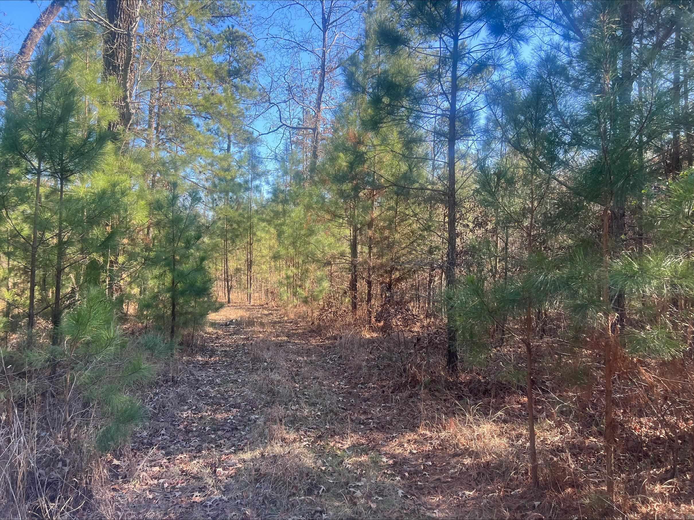 Not in Subdivision - Land