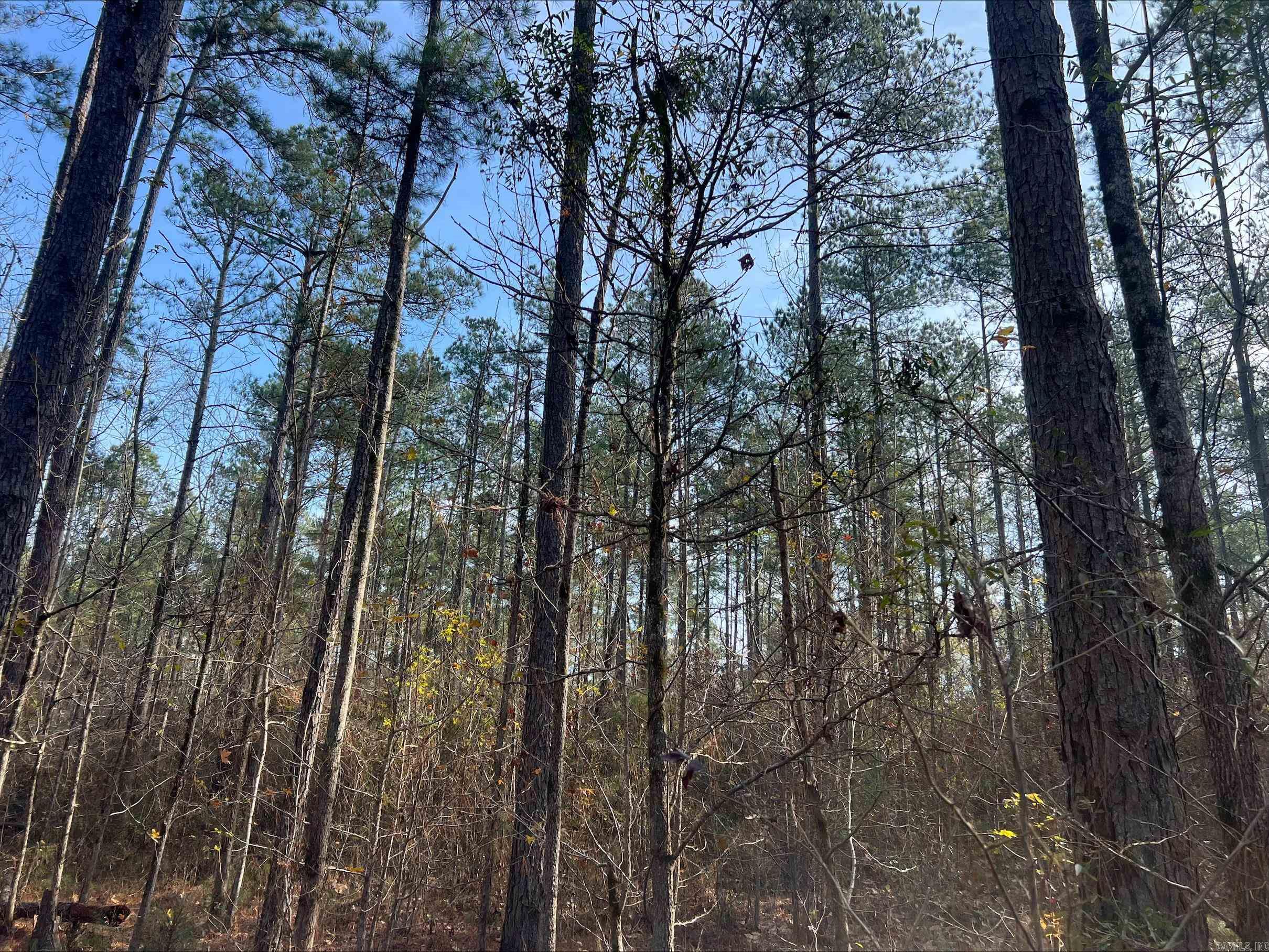 Not in Subdivision - Land