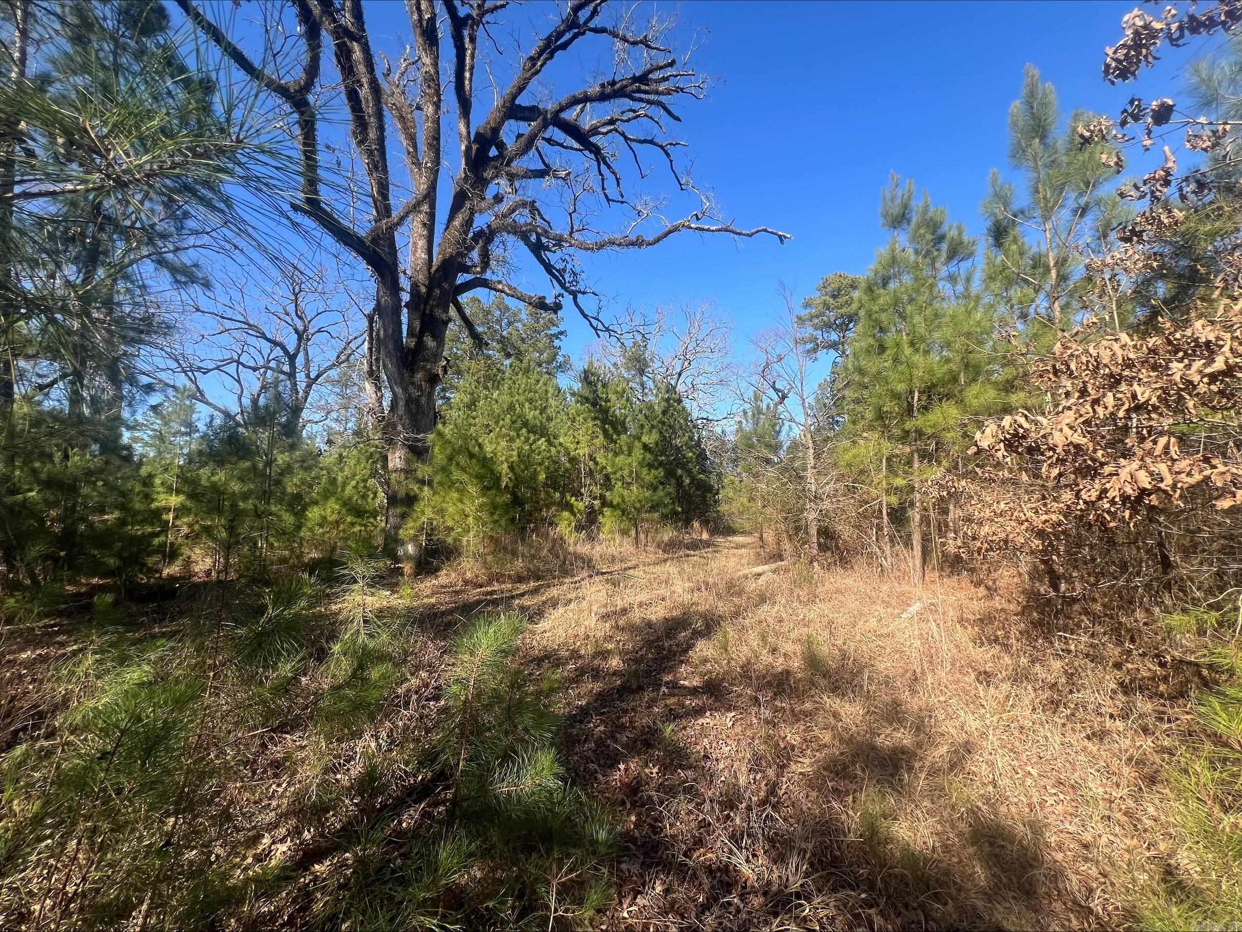 Not in Subdivision - Land