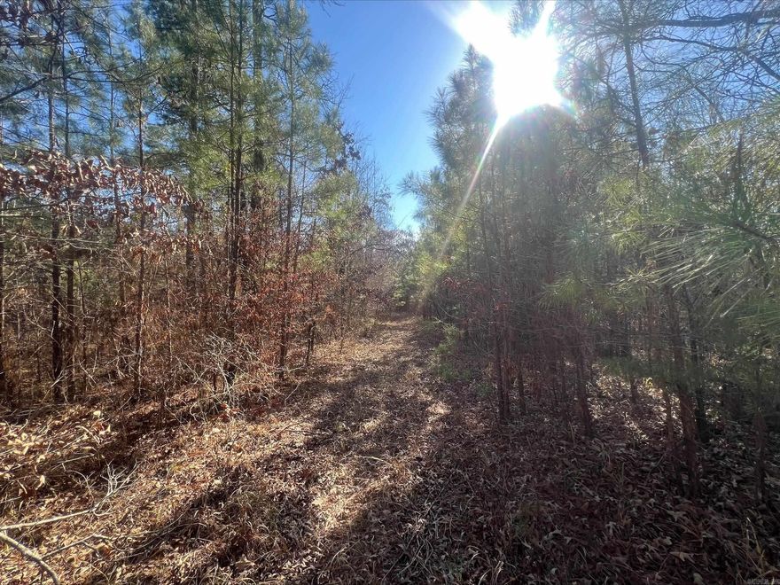 80 acres located in New Edinburg would make a great recreational or hunting tract.