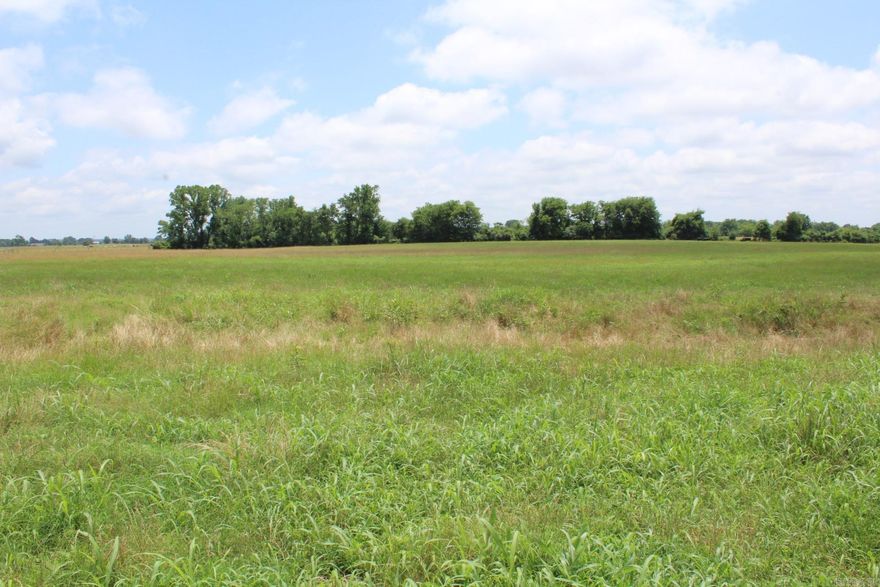 78 acres - hay meadow available