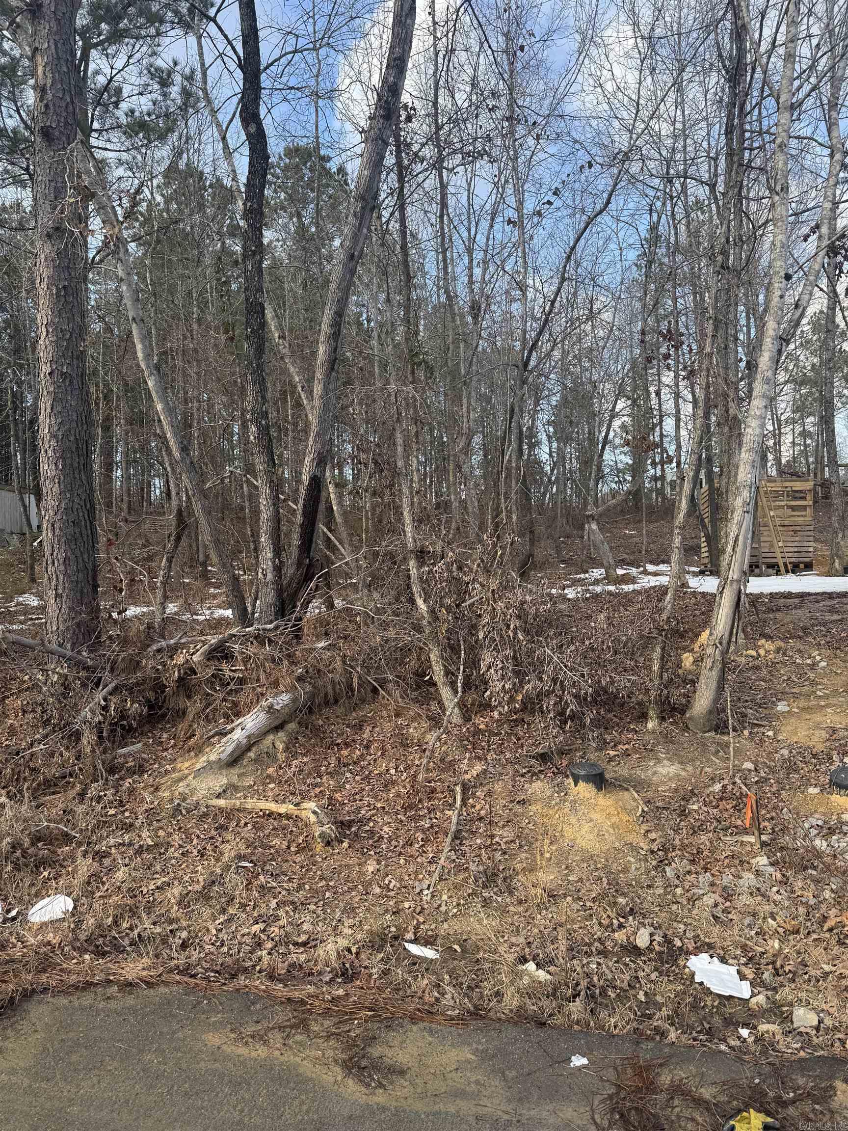 Royal Oak Manor - Land