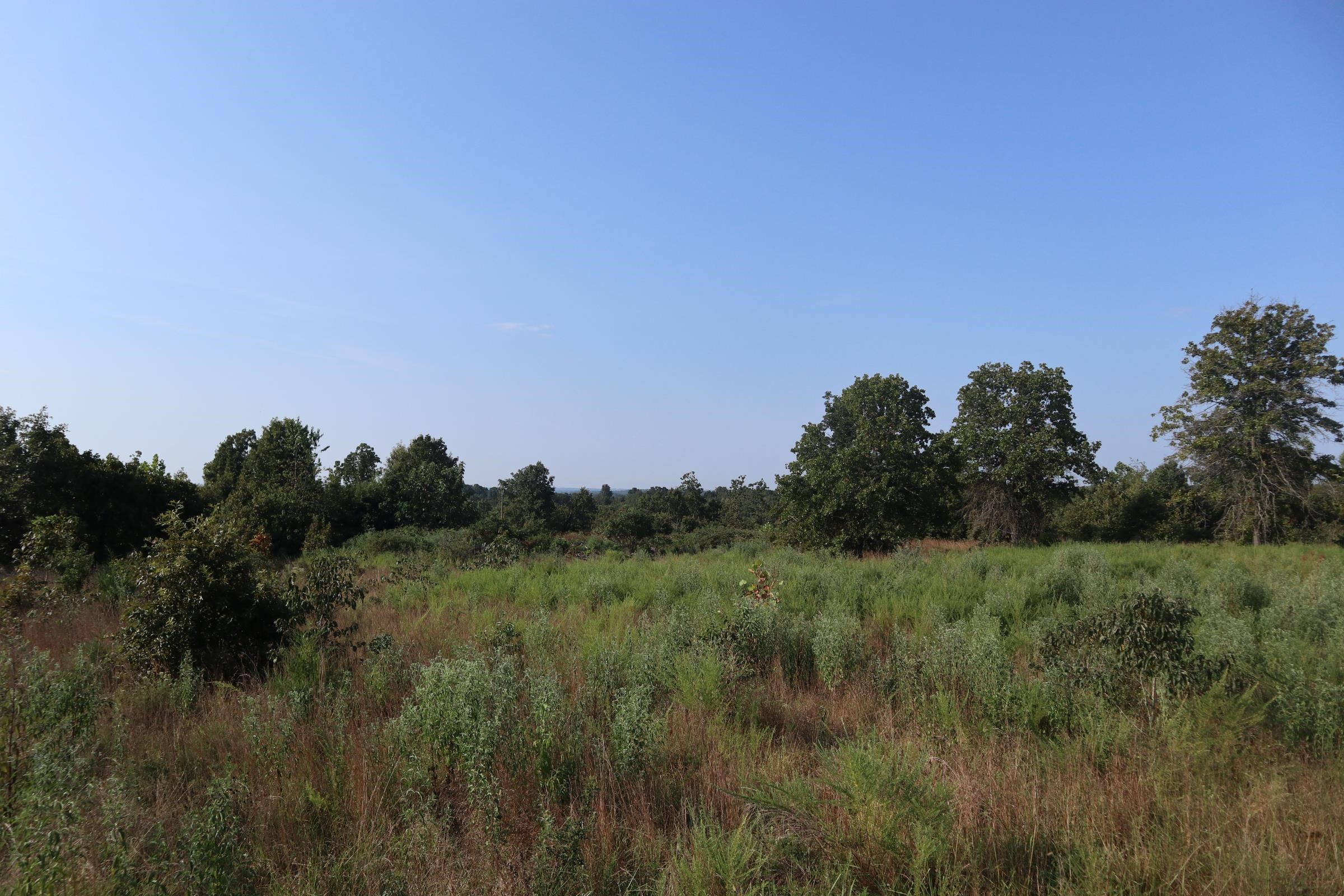 Discover your private Ozark retreat on this 73-acre tract in Camp, just 2.5 miles off Hwy 9N. This secluded property boasts county road frontage, multiple building sites with a stunning hilltop view, a tranquil pond, and a natural spring. The land is mostly wooded with some fields ready to be reclaimed, creating a hunter's paradise with abundant deer and turkey. Modern conveniences are available with electricity and high-speed internet on site, making it the perfect location for your dream home or a weekend cabin getaway. Enjoy the best of Ozarks recreation, located just minutes from Mammoth Spring and a 30-45 minute drive to Lake Norfork, Spring River, and the world-famous White River. This versatile tract also offers excellent investment potential as it can be easily subdivided for future development. With incredibly low annual taxes of only $72.93 last year, this private yet accessible property is a rare find. Don't miss this opportunity to own your slice of the Ozarks!