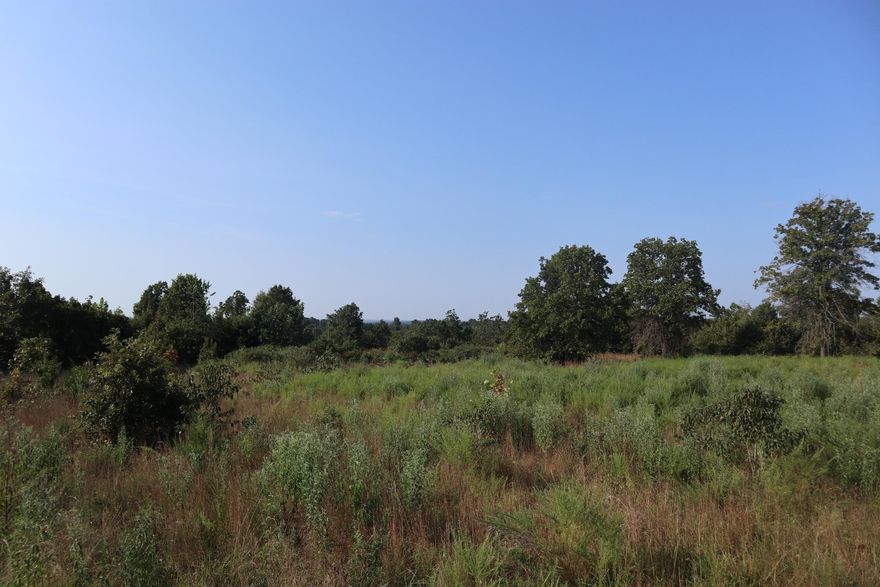 Discover your private Ozark retreat on this 73-acre tract in Camp, just 2.5 miles off Hwy 9N. This secluded property boasts county road frontage, multiple building sites with a stunning hilltop view, a tranquil pond, and a natural spring. The land is mostly wooded with some fields ready to be reclaimed, creating a hunter's paradise with abundant deer and turkey. Modern conveniences are available with electricity and high-speed internet on site, making it the perfect location for your dream home or a weekend cabin getaway.  Enjoy the best of Ozarks recreation, located just minutes from Mammoth Spring and a 30-45 minute drive to Lake Norfork, Spring River, and the world-famous White River. This versatile tract also offers excellent investment potential as it can be easily subdivided for future development. With incredibly low annual taxes of only $72.93 last year, this private yet accessible property is a rare find. Don't miss this opportunity to own your slice of the Ozarks!