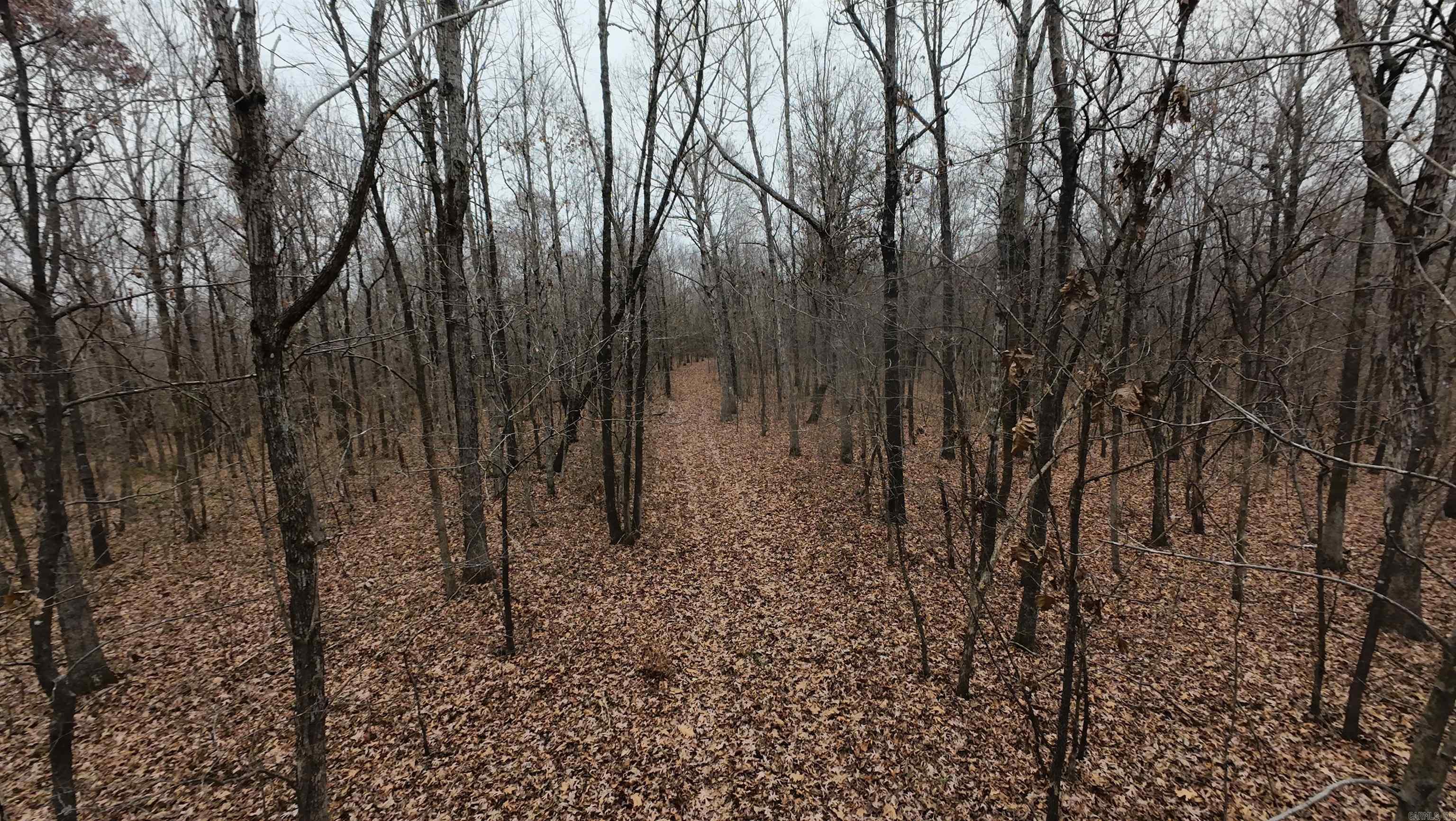 Not in Subdivision - Farm