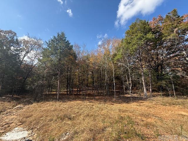 SUMMERLYN SUBDIVISION - Land