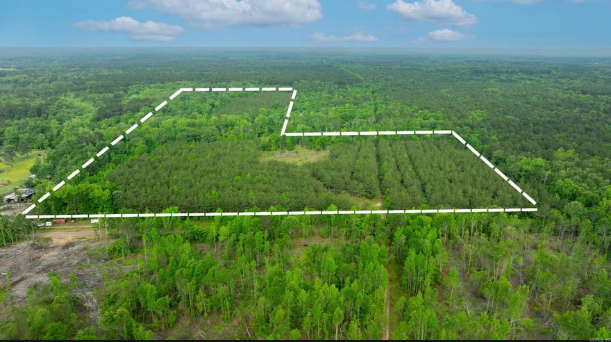 Property would make a great homesite, has road frontage and access to utilities within the area. Property is also excellent for deer, turkey, and hog hunting. See virtual tour for more pictures/video!