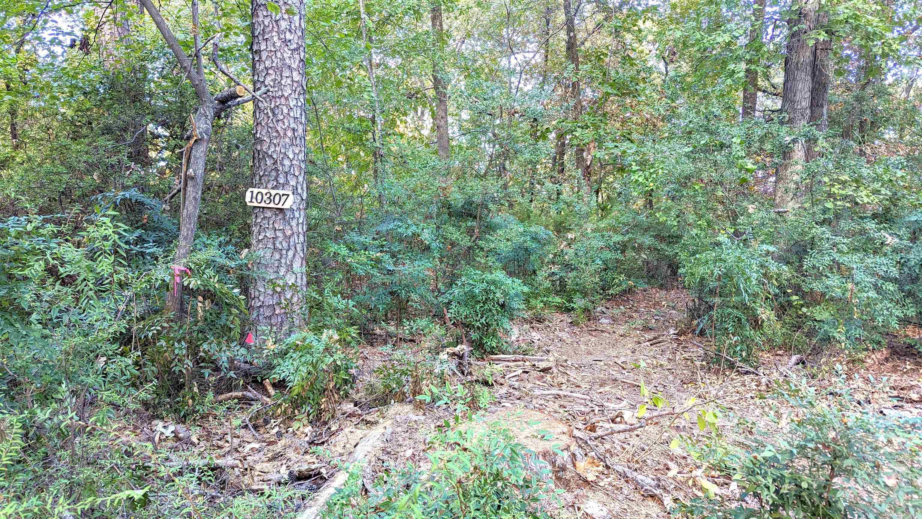 Johnson WD - Land