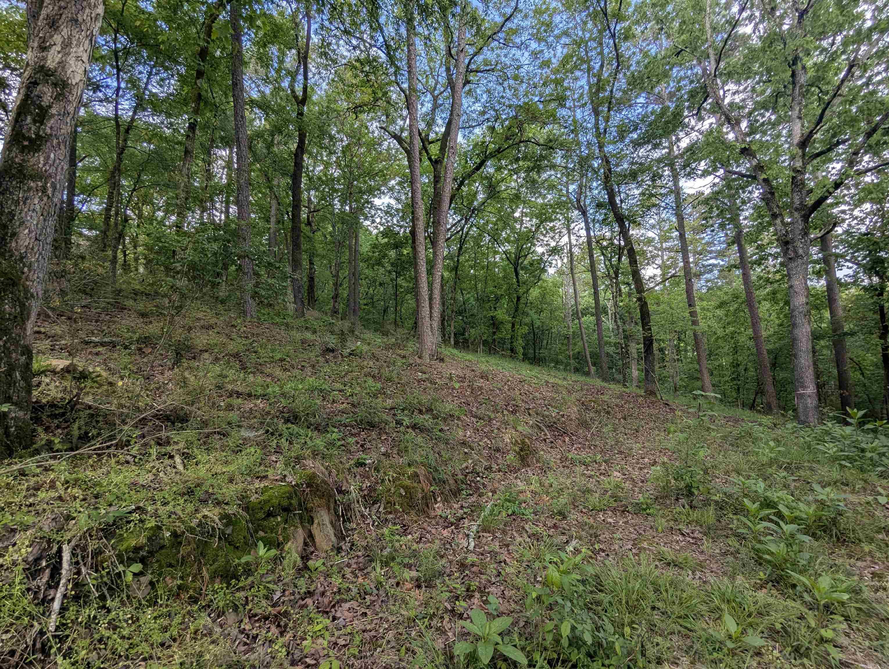 Shady Heights - Land