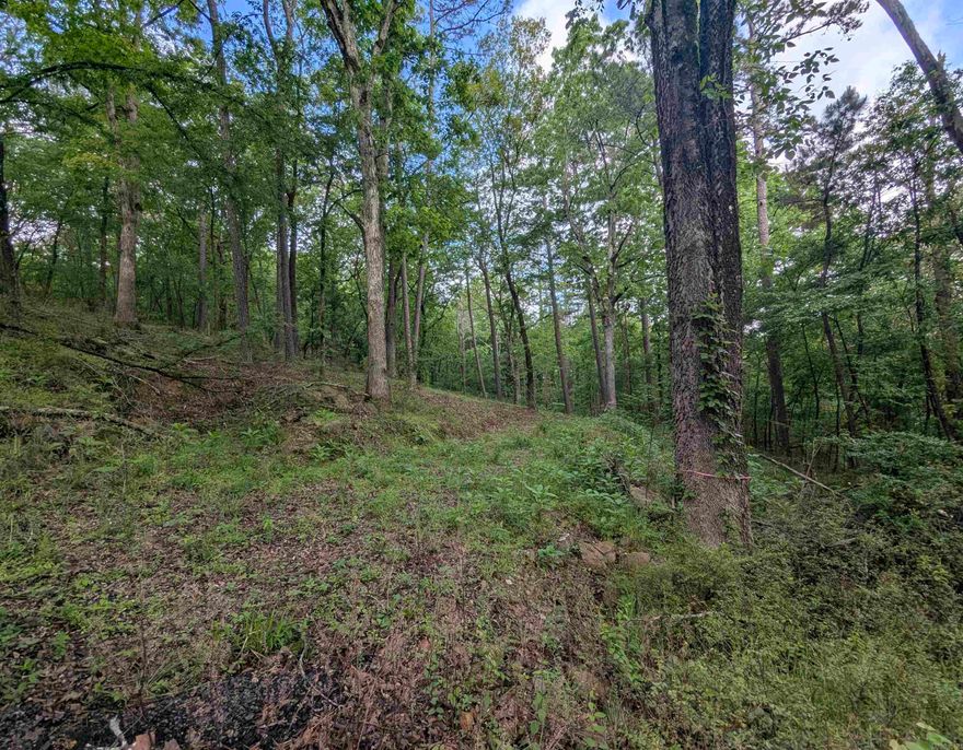Discover this beautiful 0.85-acre wooded lot in a wonderful, serene location. Situated in the Lakeside School District, this property offers the perfect blend of natural privacy and convenience.