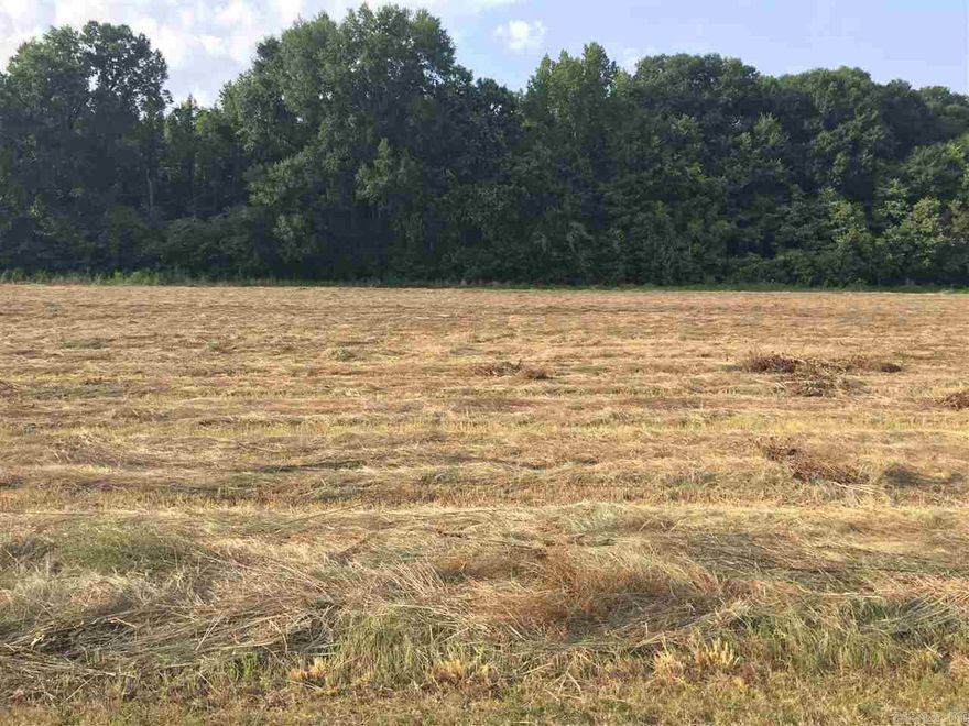 Come on out, and get a glimpse of what Lake life is all about.  Lots big enough for the avid gardener and a Lake stocked for the avid fisher.  Who doesn’t love from lake-to-table, from garden-to-table.  Mound Lake Estates is a true hidden gem gated community, where everyone waves.  An out of city limits feel but still a close commute to necessities.  Restaurants, shopping, and grocery can easily be a 20-25 minute commute to North Little Rock, and about 15 minutes to England.  Little Rock AFB about a 25 minute commute.  Major distribution centers such as Lowes, Dollar General, Amazon, and Caterpillar Inc. about a 20 minute commute.  These Lots are level with gas, water, and electric available.  Community sewer available or septic, you get to make the choice.  Bring your Builder and house plans.  Architectural committee to approve house plans.  Mound Lake is accessed by a 150 foot boat ramp for adventurous fishing or just boating to relax and unwind.  Please see Agent Remarks.