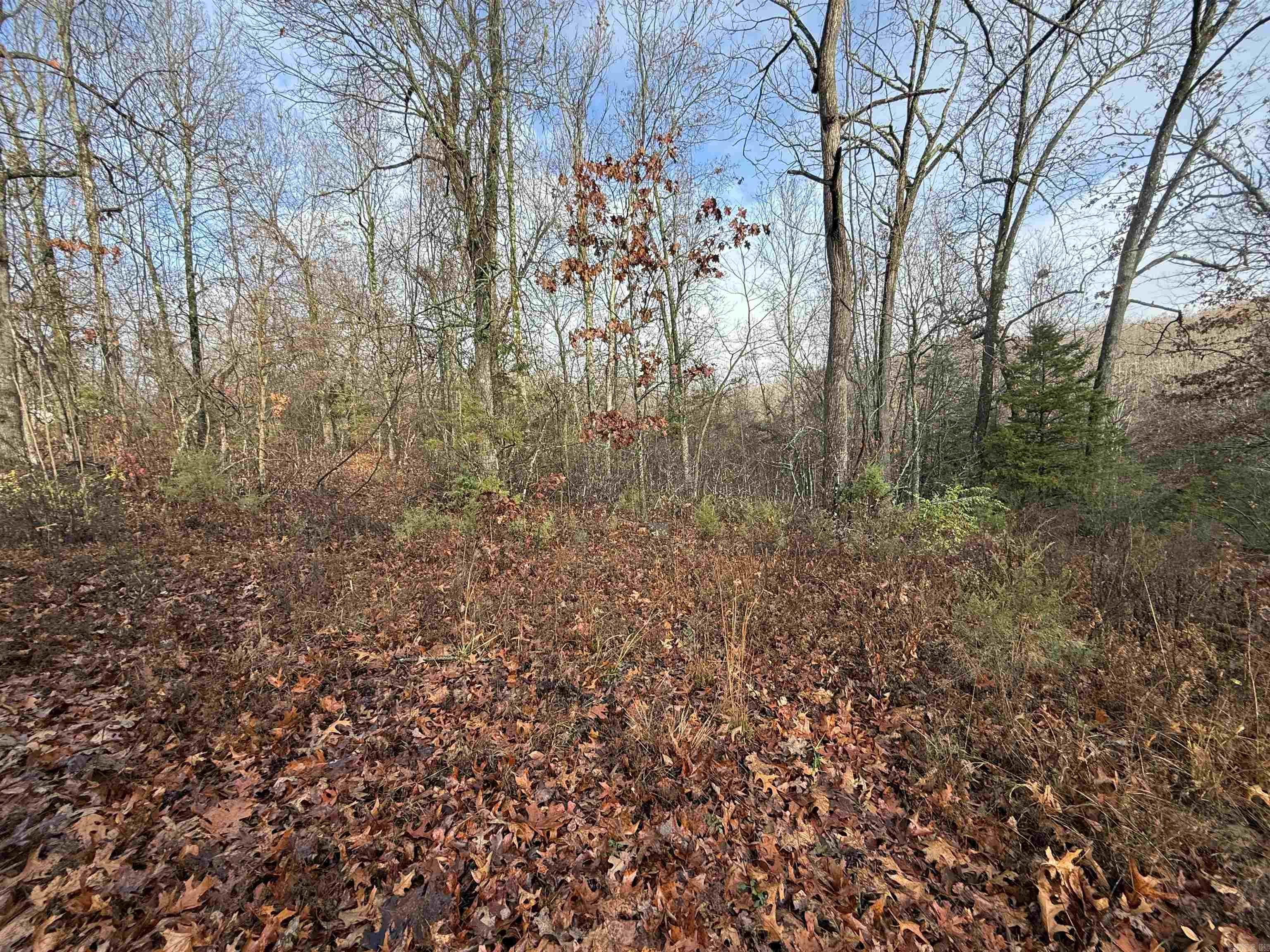 STONEBRIAR PLACE - Land