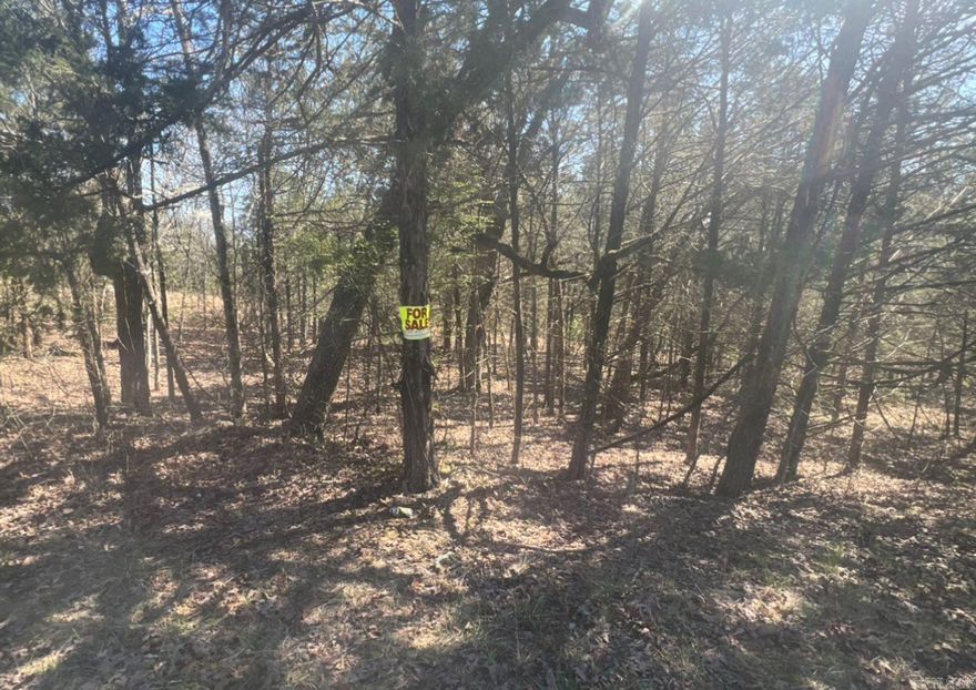 Owner financing available-  This 0.29-arce building lot sits directly next to the golf course and has an amazing view!  Horseshoe Bend is an excellent place where you can call it your forever home or build/ place a cabin for a nice vacation getaway. This lot has power at the lot line. This area provides a few lakes to have an endless amount of fun. Take the family and friends and spend the day or weekend out on the water. You can fish, go swimming, and do many other water activities.  Utilities nearby! The Horseshoe Bend Water Department will have Water & Sewer information for you concerning water service and trash service. That number is 870-670-5885 or you can email at water@cityhsb.org The electricity is provided by North Arkansas Electric Cooperative. Their number is 870-895-3221.  Here is your opportunity to buy a beautiful piece of land in Horseshoe Bend. It is the perfect place to build or use as a vacation spot for yourself or your family. Hold onto for yourself or give it to your kids down the road. This is a lot that everyone can enjoy for years and years to come.  Crown Lake is within walking distance.