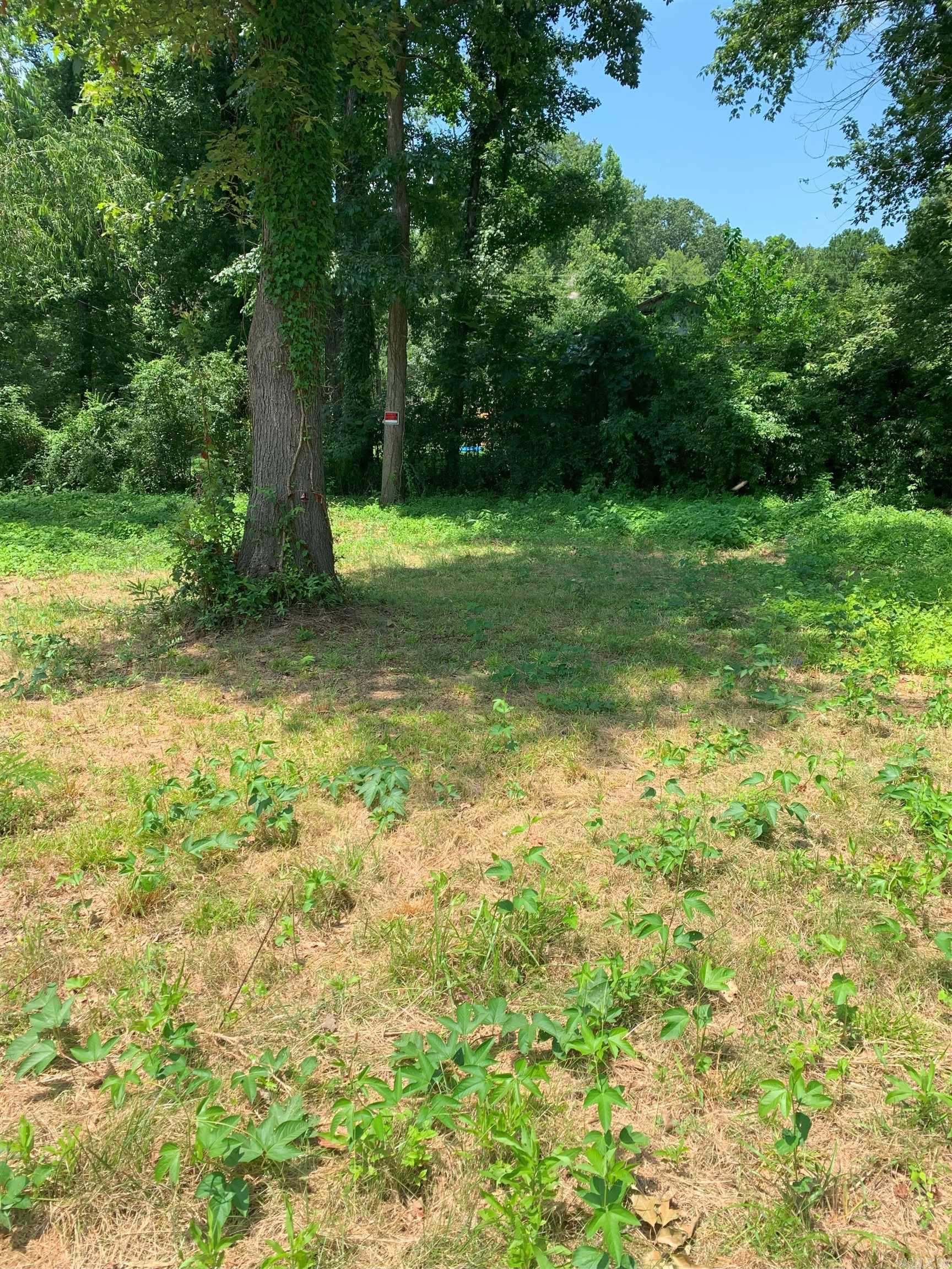 Five adjacent residential lots. Approx. total of 300 ft. along Trout Street. Build your dream cabin on these flat lots located within walking distance of beautiful Harris Brake Lake. Bountiful nature and great fishing. Lake facilities include 4 concrete and 2 gravel boat ramps. Paved roads. Escape from the city with just a short, scenic drive through the Ouachita National Forest to this tranquil location. Realtors see remarks.