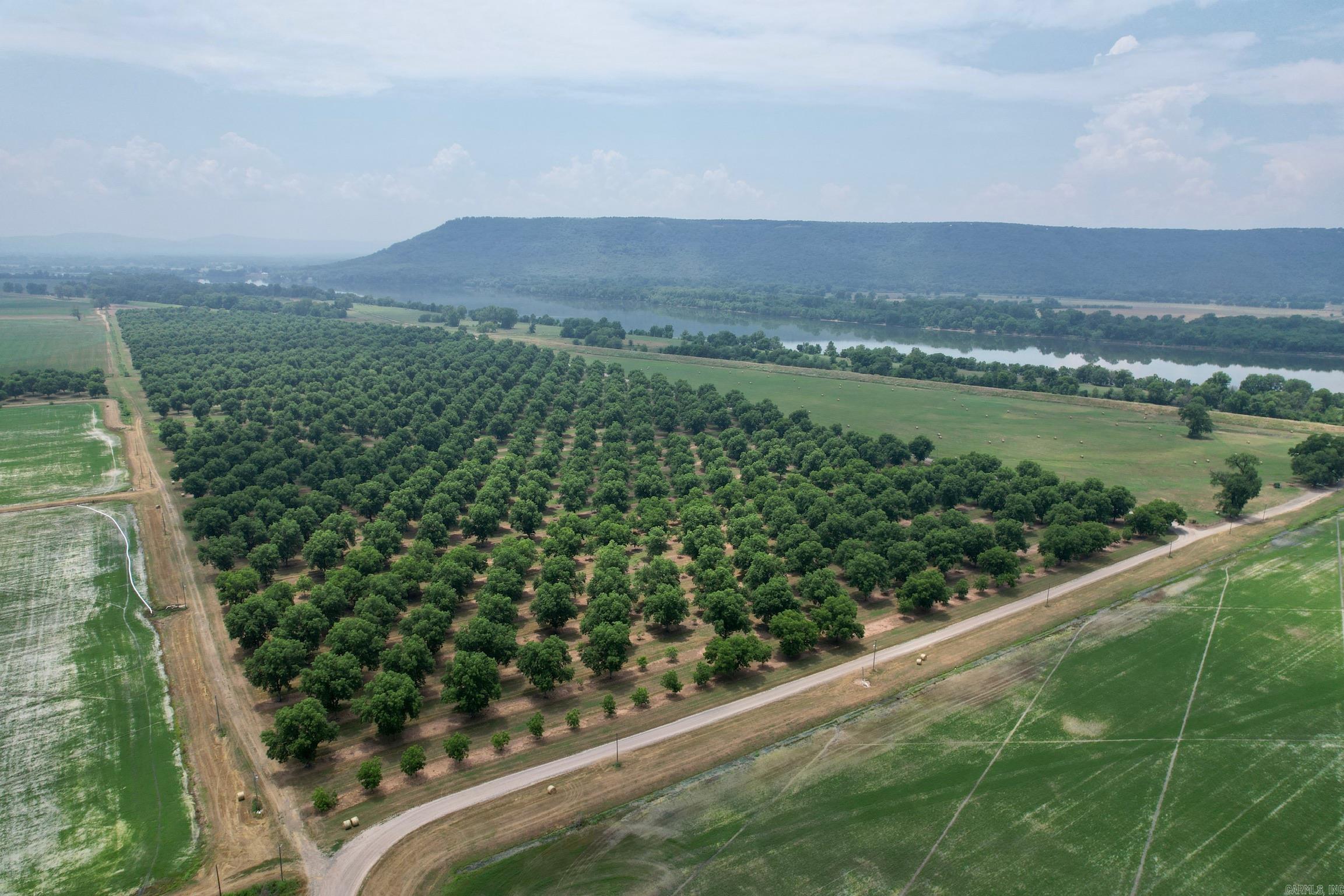 This is a pristine, irrigated pecan farm and operation that is coming into its prime. Situated in the Arkansas River Valley, it consists of 154 acres m/l, a shop and an office. This farm is as close to turn-key as possible with most of the equipment needed to run the farm available for purchase too.  This property is located in Conway County just outside of Morrilton by the Arkansas River with good I-40 and county road access. The trees are set up to be watered individually in sections via electric wells. The shop is large enough to hold all the equipment needed to service and maintain the farm. The office is a good, secure building that’s heated and cooled. Additional acreage, structure and equipment can be purchased.    Age Structure & Layout  -1351 of the trees are 27 years old. -603 trees are in the 4-10 year old range with some of those producing. -Every 6th row is a pollinator. -The farm sees two hay cutting a year that provide about 400 bales on the first cut and 300 on the second cut. A third cut is normally a mow to get things clean and ready for harvest.  The Tree Varieties include:  Oconee Pawnee Caddo Choctaw Kanza Nocono