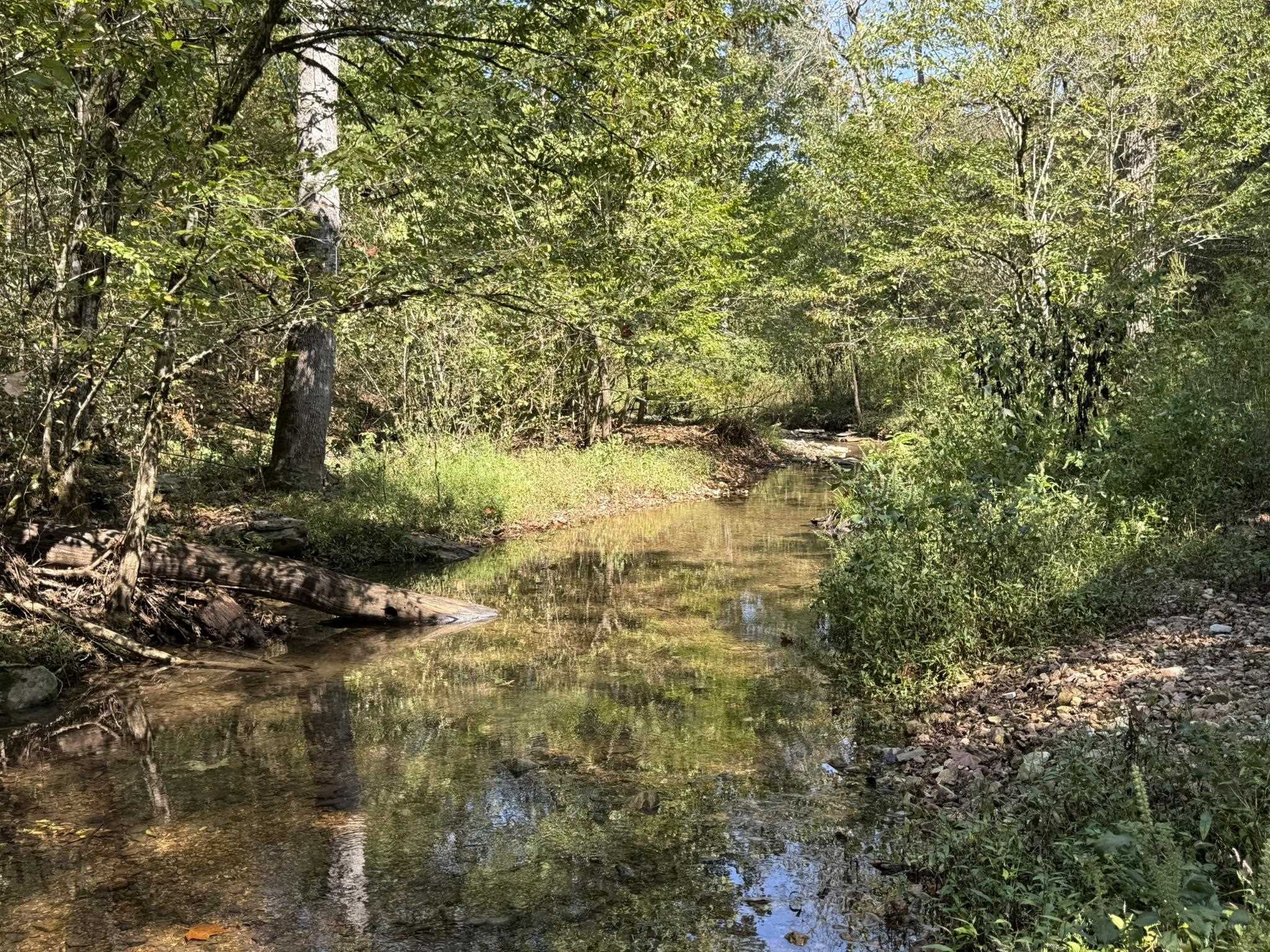 This 122-acre property is the ultimate Ozark Mountain hunting retreat. It features flat, oak-topped ridges and a year-round spring-fed creek, offering both natural beauty and dependable water that will never run dry. There’s miles of established trails, making it easy to access every corner of the property by ATV, whether you’re hunting, exploring, or simply enjoying the outdoors. The timber consists primarily of oak and hickory, with a few scattered cedars adding to the diversity of the landscape. Wildlife thrives here, making it a prime destination for deer, turkey, and small game hunting. For those looking to establish a permanent base camp, the property includes electricity at the road and an old hunting cabin that could be renovated or replaced. With its combination of natural resources and recreational potential, this property is well-suited for a permanent hunting camp or family retreat, all priced for only $249,900.