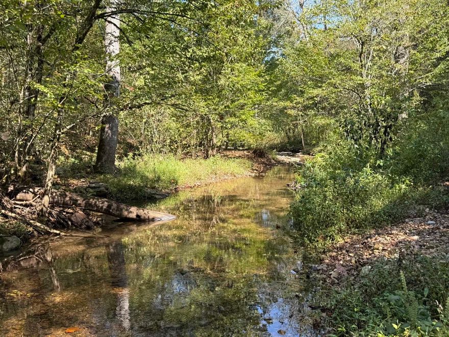 This 122-acre property is the ultimate Ozark Mountain hunting retreat. It features flat, oak-topped ridges and a year-round spring-fed creek, offering both natural beauty and dependable water that will never run dry.  There’s miles of established trails, making it easy to access every corner of the property by ATV, whether you’re hunting, exploring, or simply enjoying the outdoors. The timber consists primarily of oak and hickory, with a few scattered cedars adding to the diversity of the landscape. Wildlife thrives here, making it a prime destination for deer, turkey, and small game hunting.  For those looking to establish a permanent base camp, the property includes electricity at the road and an old hunting cabin that could be renovated or replaced.  With its combination of natural resources and recreational potential, this property is well-suited for a permanent hunting camp or family retreat, all priced for only $249,900.