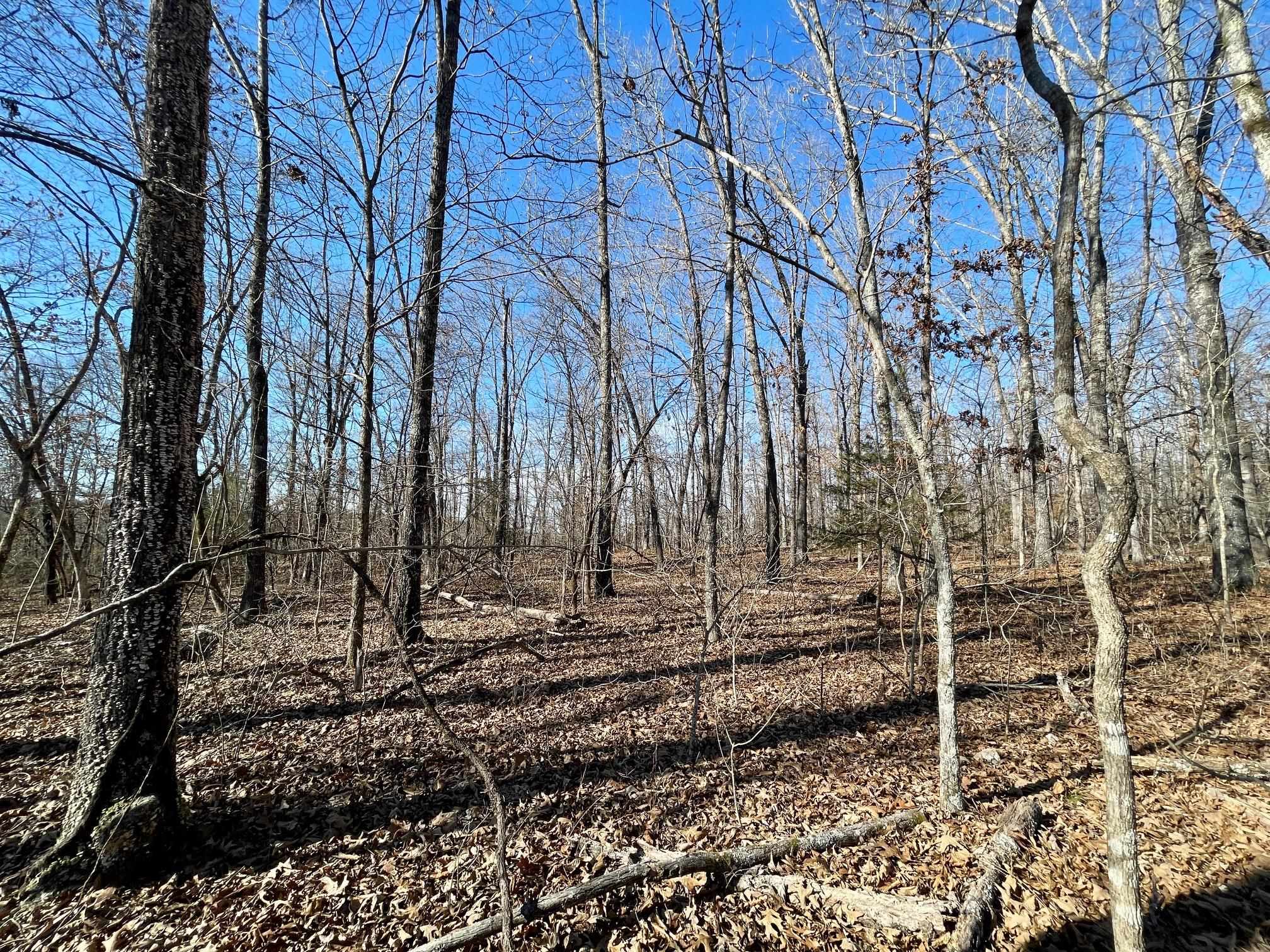 BEAVER ESTATES - Land