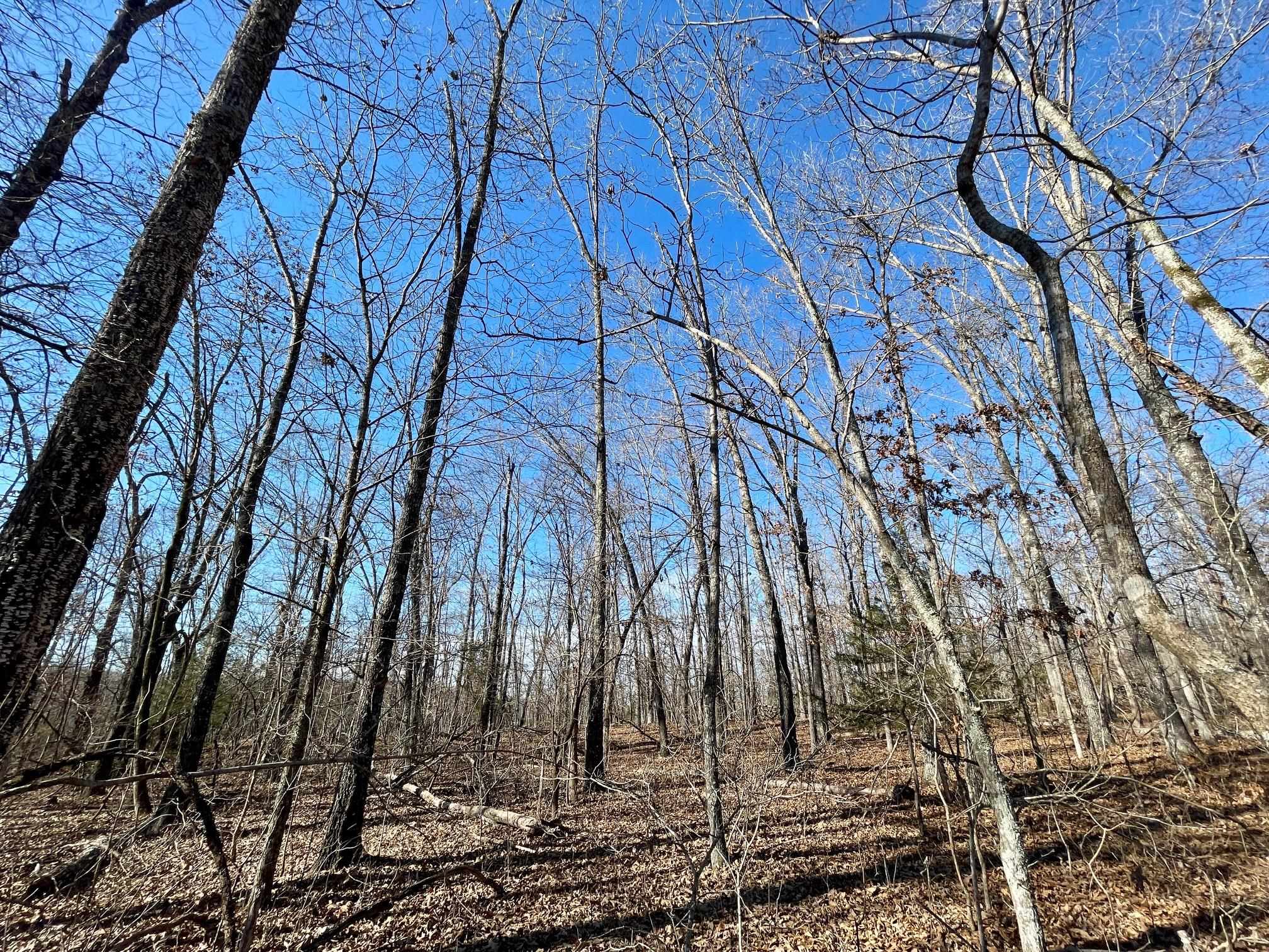 BEAVER ESTATES - Land