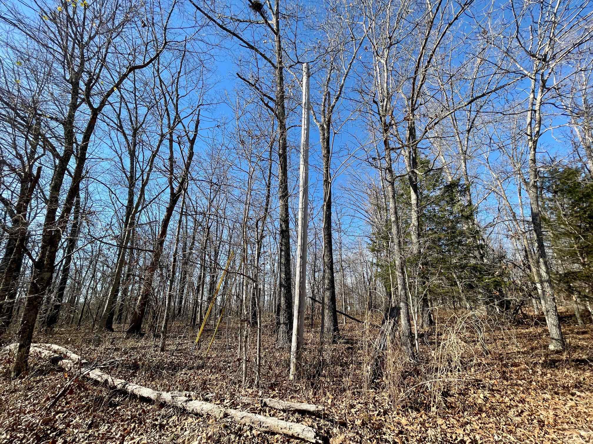 BEAVER ESTATES - Land