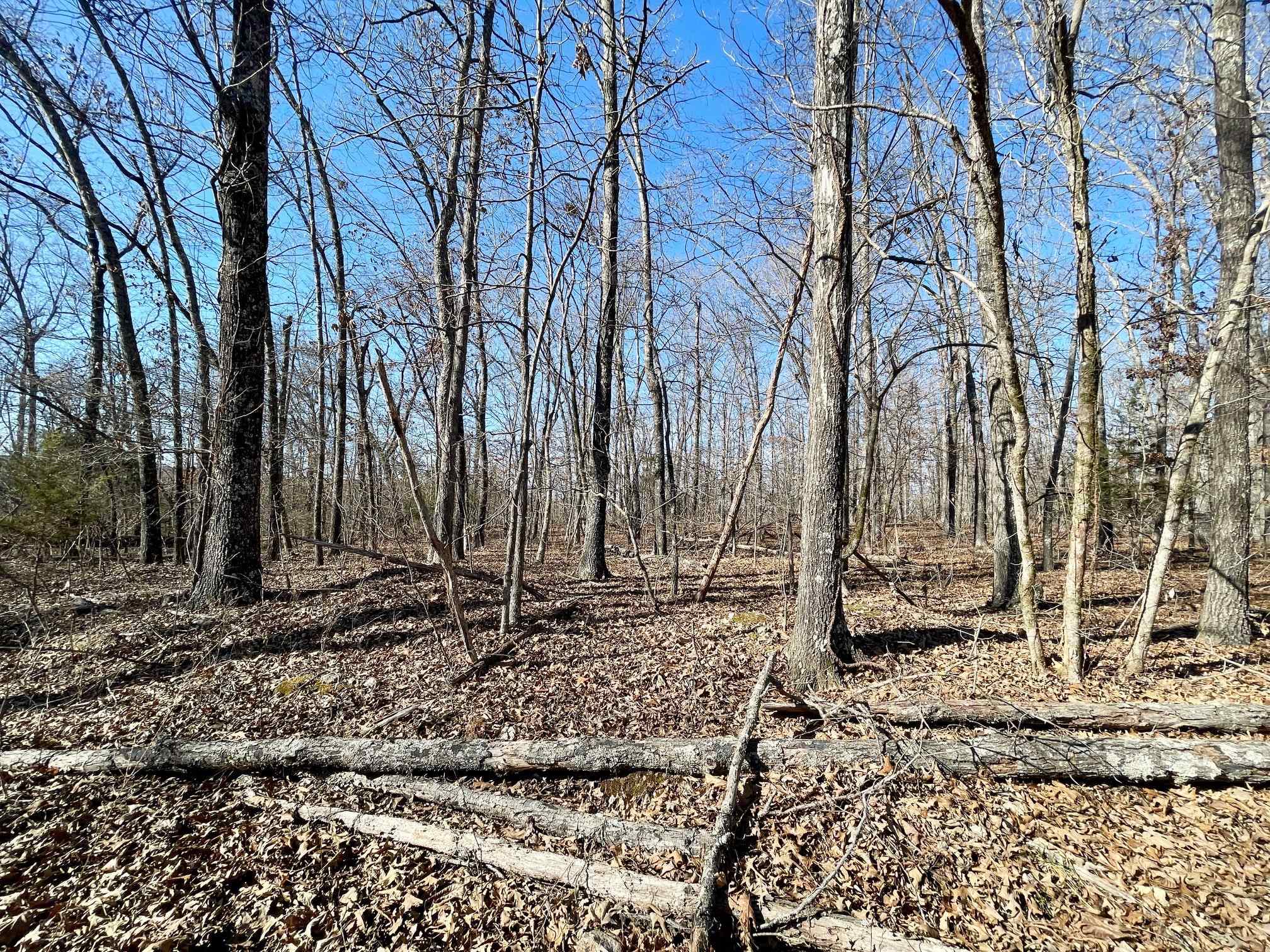 BEAVER ESTATES - Land