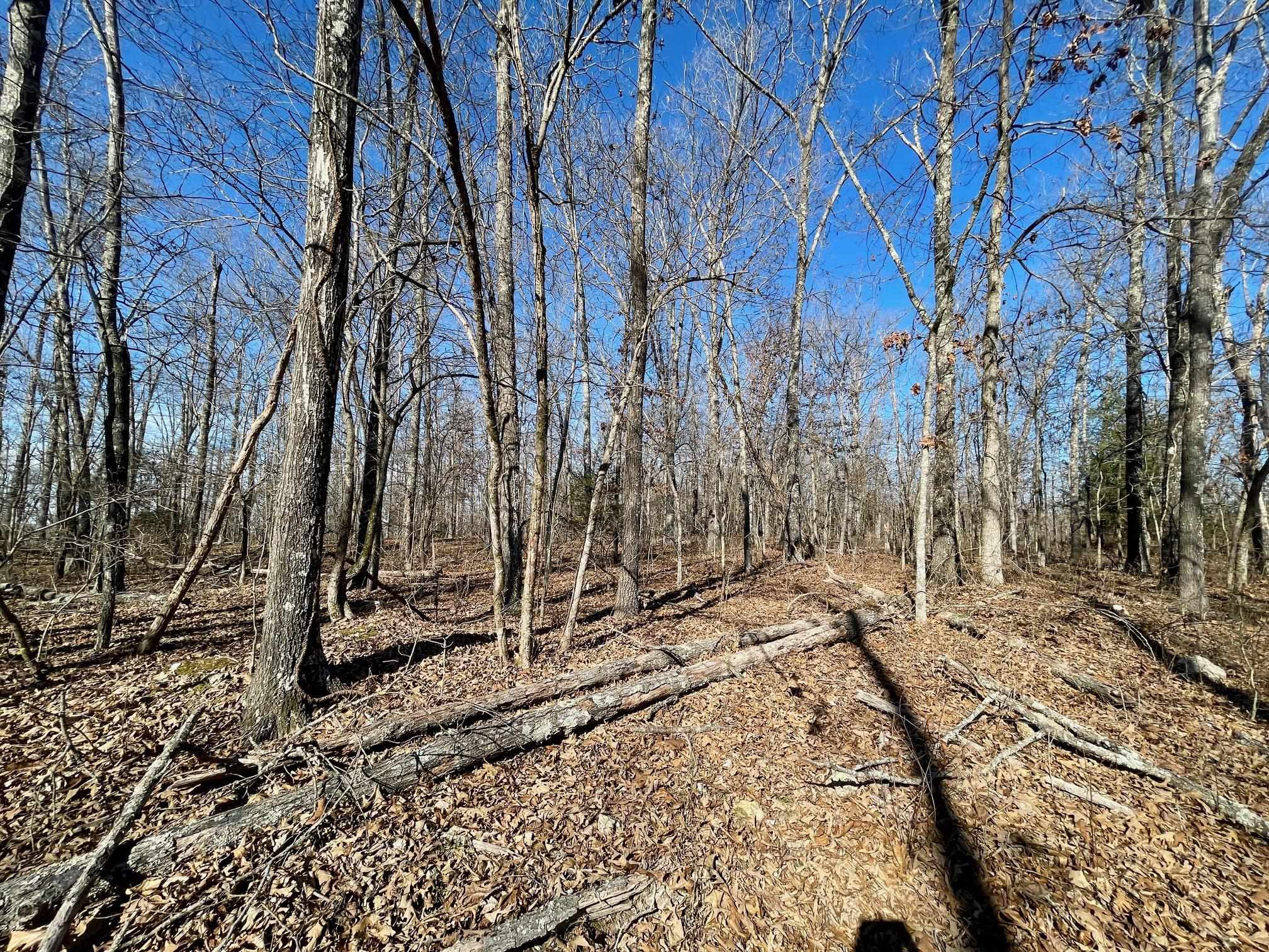 BEAVER ESTATES - Land