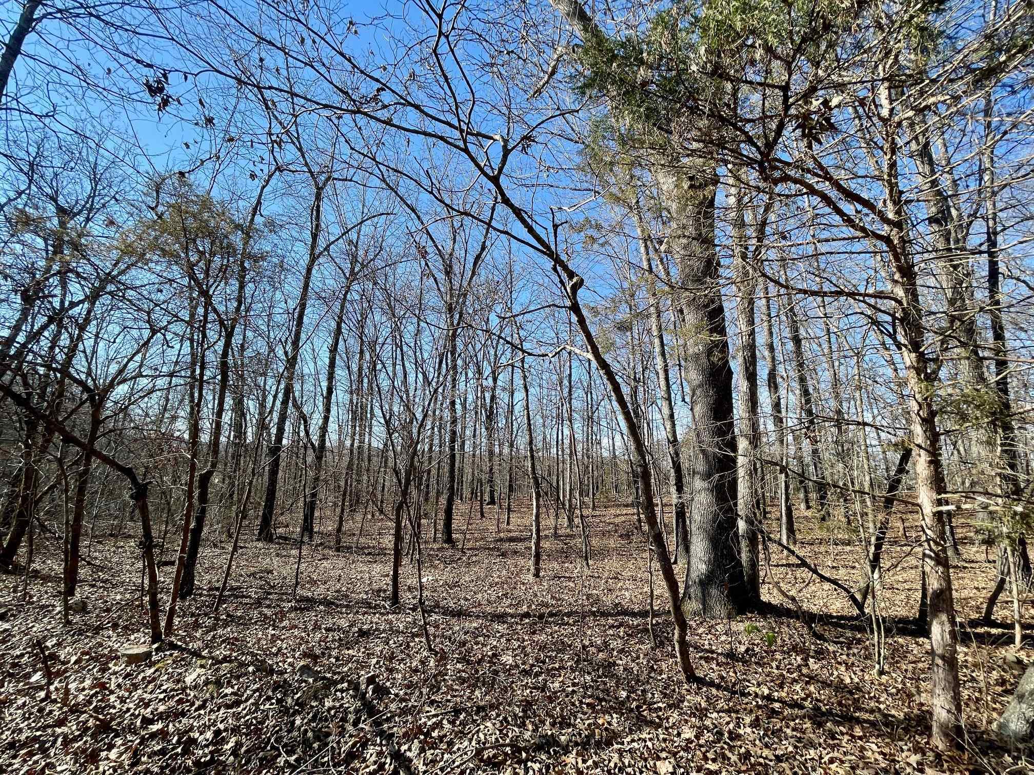 BEAVER ESTATES - Land