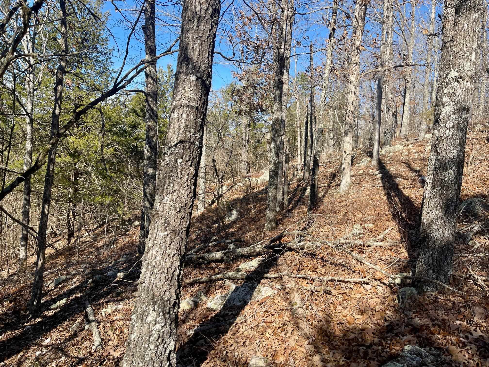 BEAVER ESTATES - Land