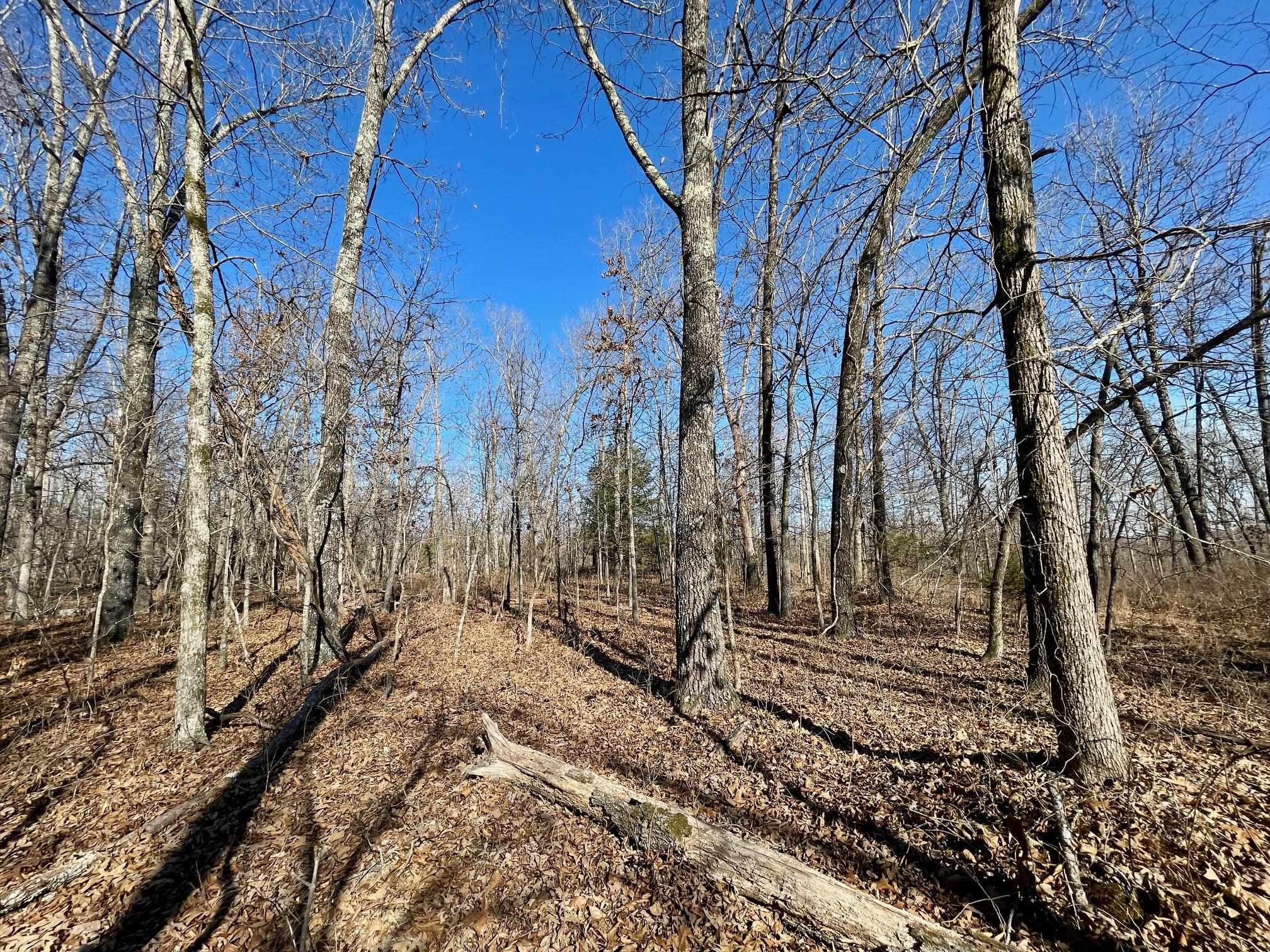 BEAVER ESTATES - Land