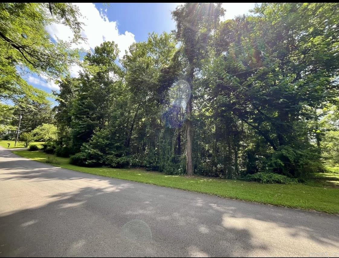 Located in the heart of Heber Springs, this peaceful wooded property offers the perfect setting to build your dream home. Enjoy quiet surroundings while being just minutes from shops, dining, and other amenities. The land features mature trees, a natural wet weather stream, and on-site utilities. A rare blend of privacy and convenience in one of Arkansas' most charming towns.