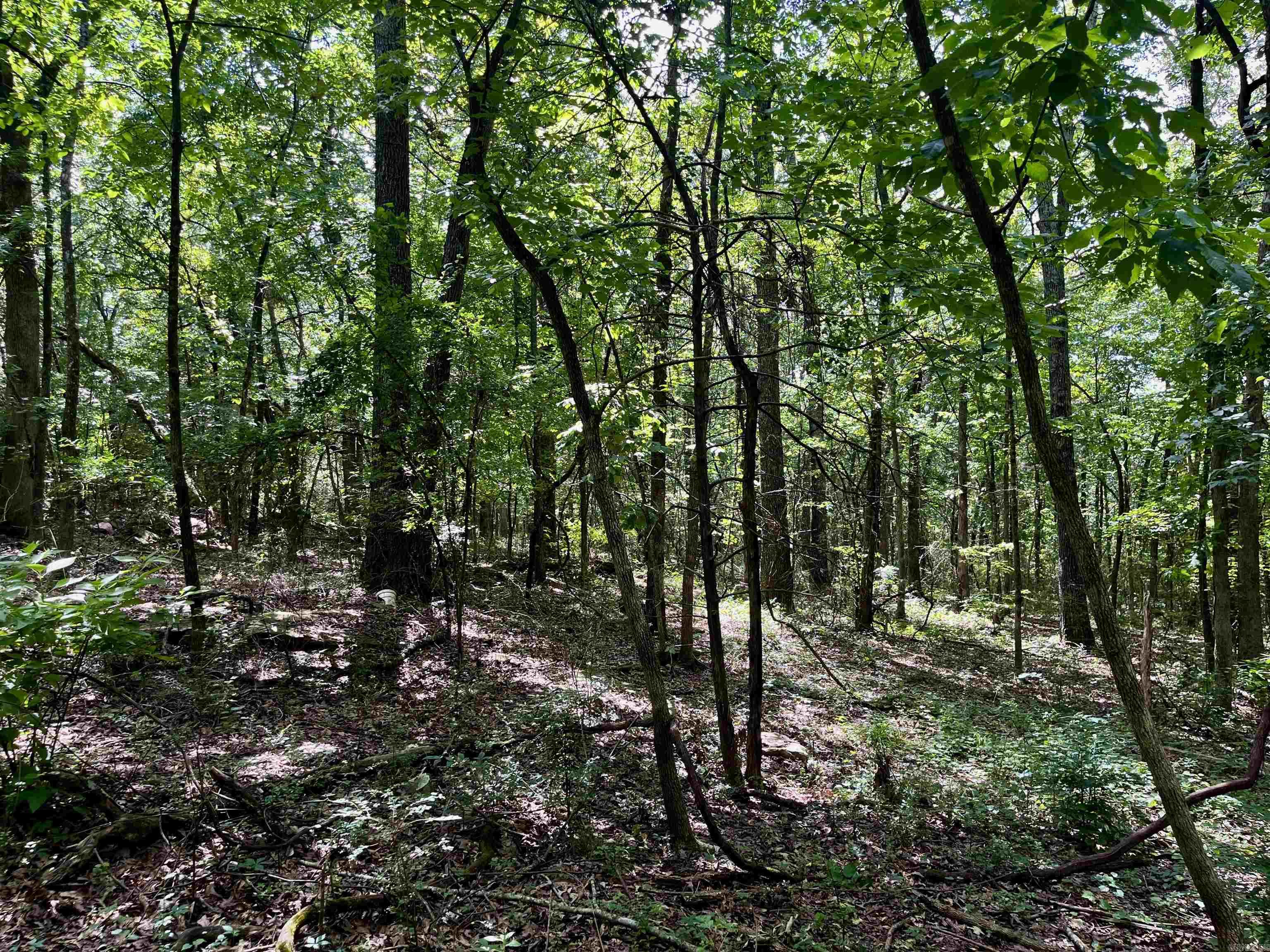 14-10-10 Heber Springs - Land