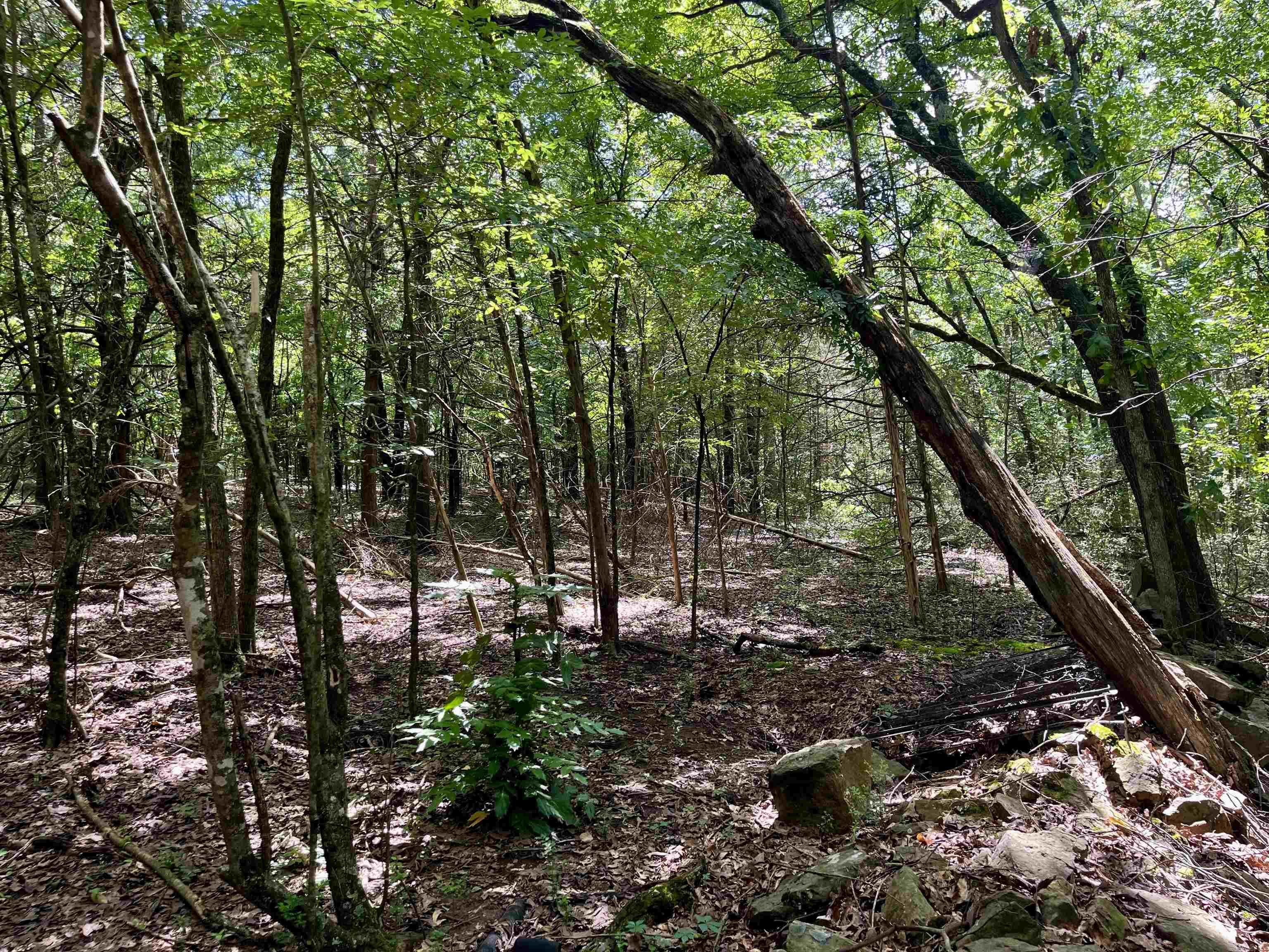 14-10-10 Heber Springs - Land