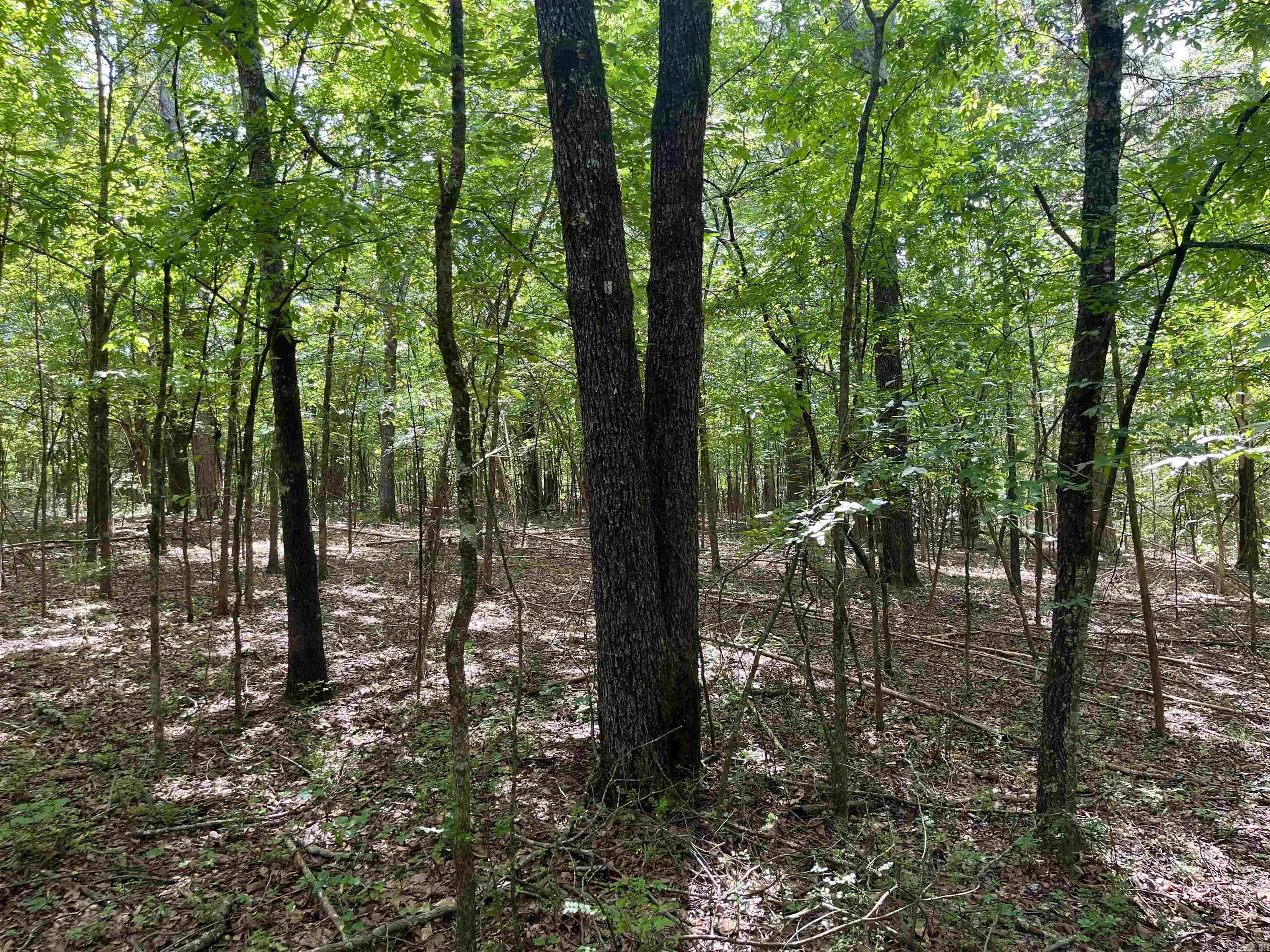 14-10-10 Heber Springs - Land