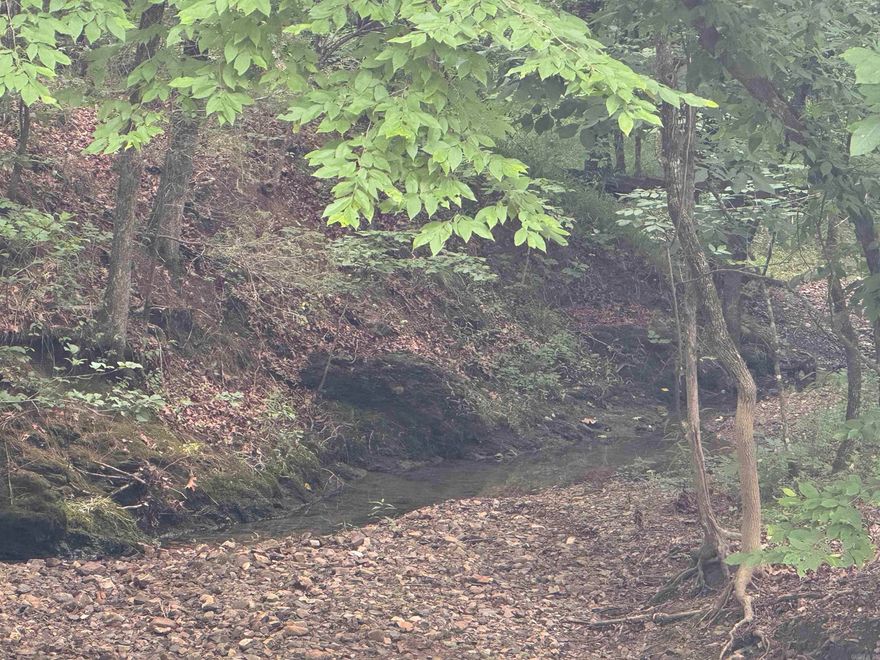 The perfect outdoor paradise you've been looking for! 10 acres with creek frontage and adjoining national forest.  Location is key, within 15 minutes of two Lake Ouachita boat ramps, 45 minutes to Hot Springs, or just a short drive to the Caddo River. Electricity at the street. Well and septic will need to be installed.