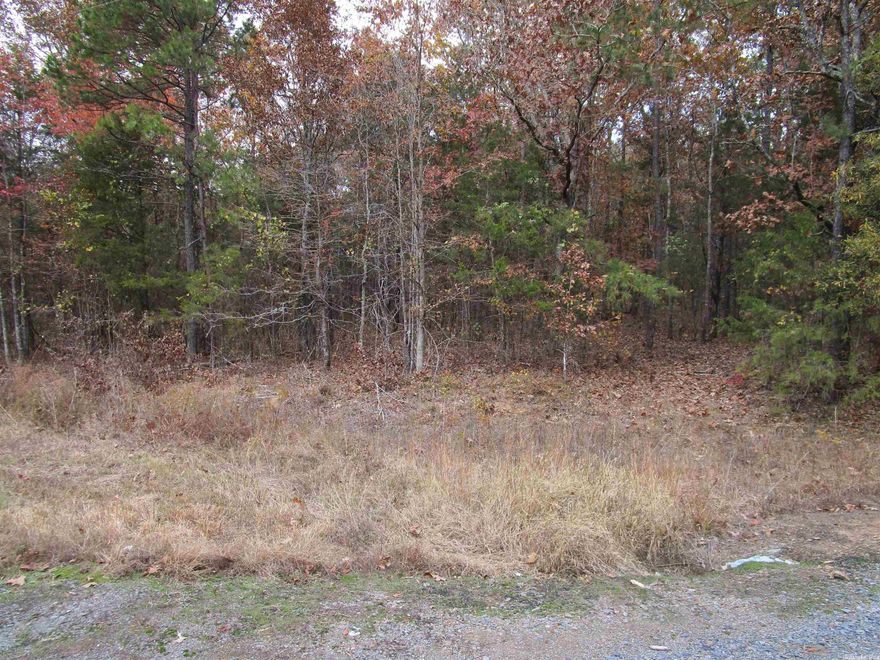 Looking for the perfect Lake Property! This is the perfect build your dream home or your lake getaway. Just a couple miles from South Fork Boat Ramp that's at the mouthh of Party Cove! Just minutes from Clinton, Fairfield Bay, and Greers Ferrry! Don't miss out on this perfect piece of Property. Mineral Right's do not convey.