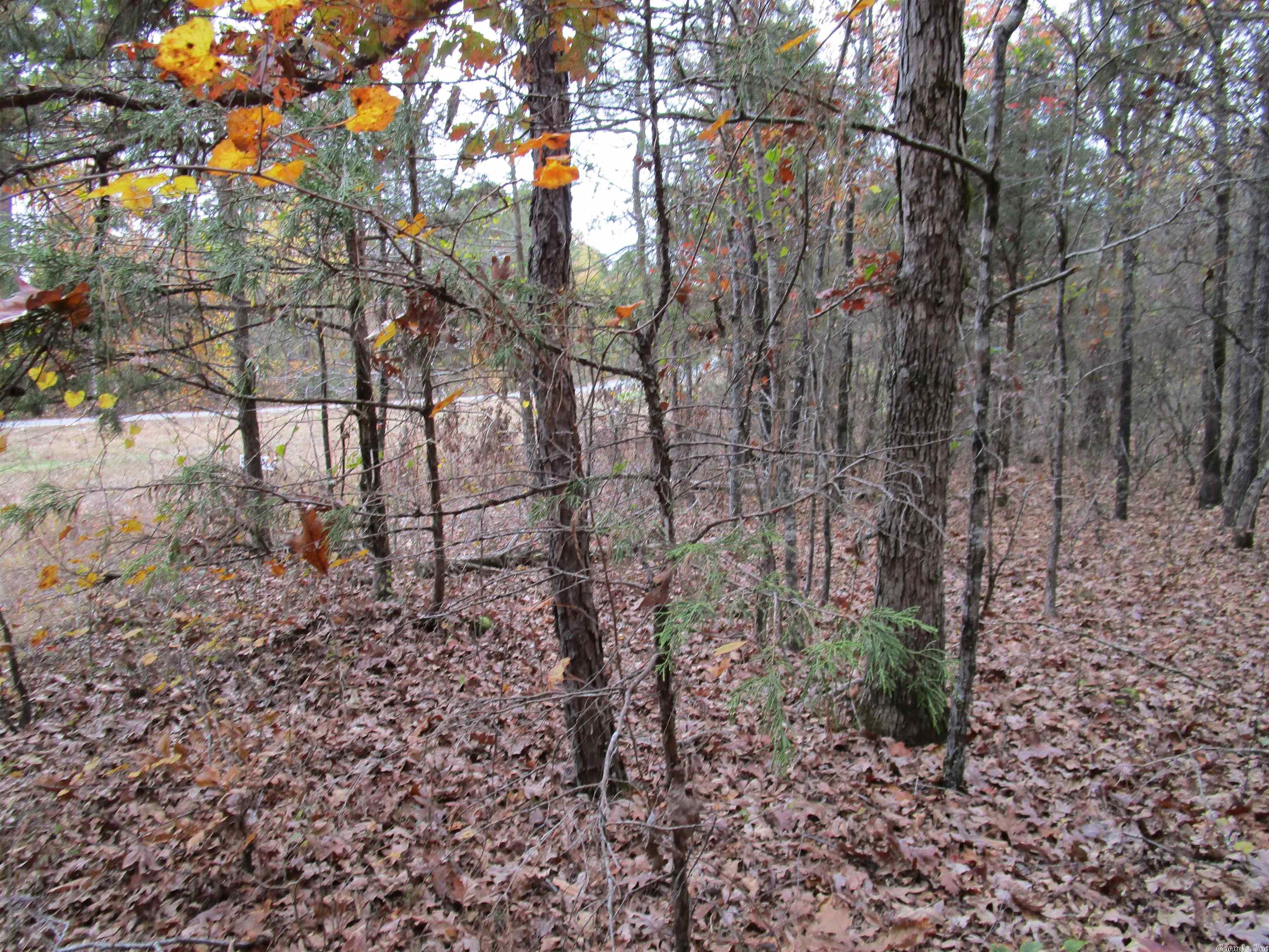 Not in Subdivision - Land