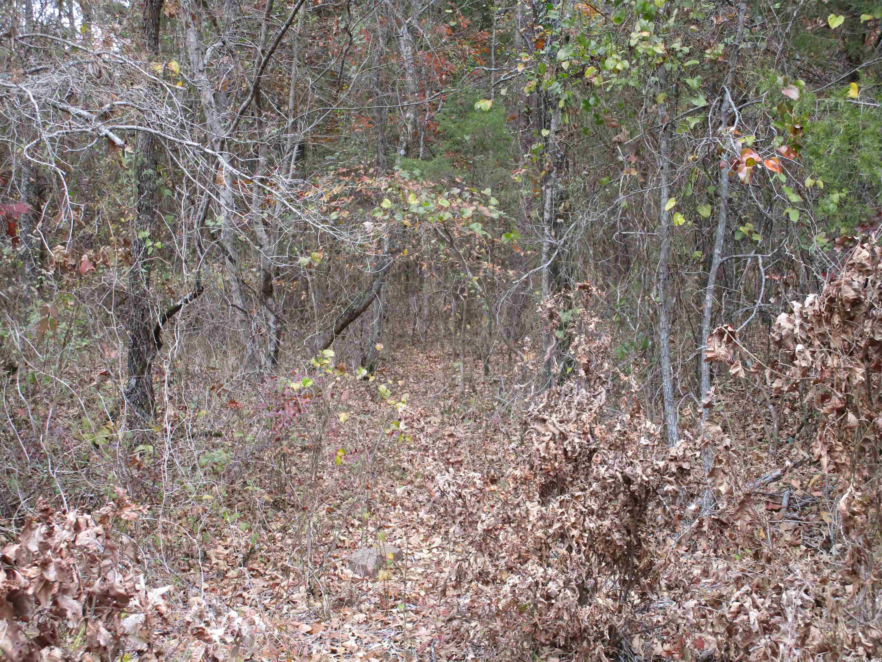 Not in Subdivision - Land