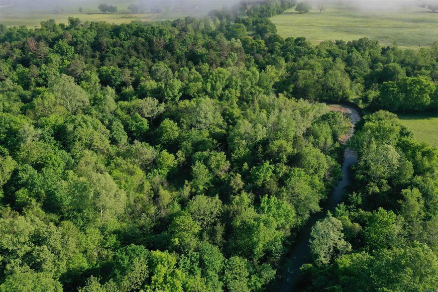 Located on Jack Creek Road Between Havana and Waveland, this 18 +/- acre recreational tract is packed with features. Jack creek flows through the property, and standing timber covers the landscape. Deer frequent the area, along with numerous types of small game. The property is accessed by county road frontage, and has electricity, city water, and fiberoptic internet available at the road. The Beautiful Ouachita National Forest is a 1-mile drive from the property, giving access to great deer, turkey, and bear hunting. Kirkwood falls are located in the national forest in this area, and are a great showcase of the beauty offered in the Natural State. Blue Mountain Lake is located 10 minutes to the West, and Mount Magazine State Park is just a 15-minute drive away. This property is in a great location and would make an excellent weekend getaway.