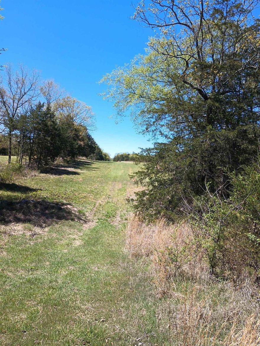 40 ACRES EAST OF QUALLS ROAD NORTH OF THOMAS ROAD.