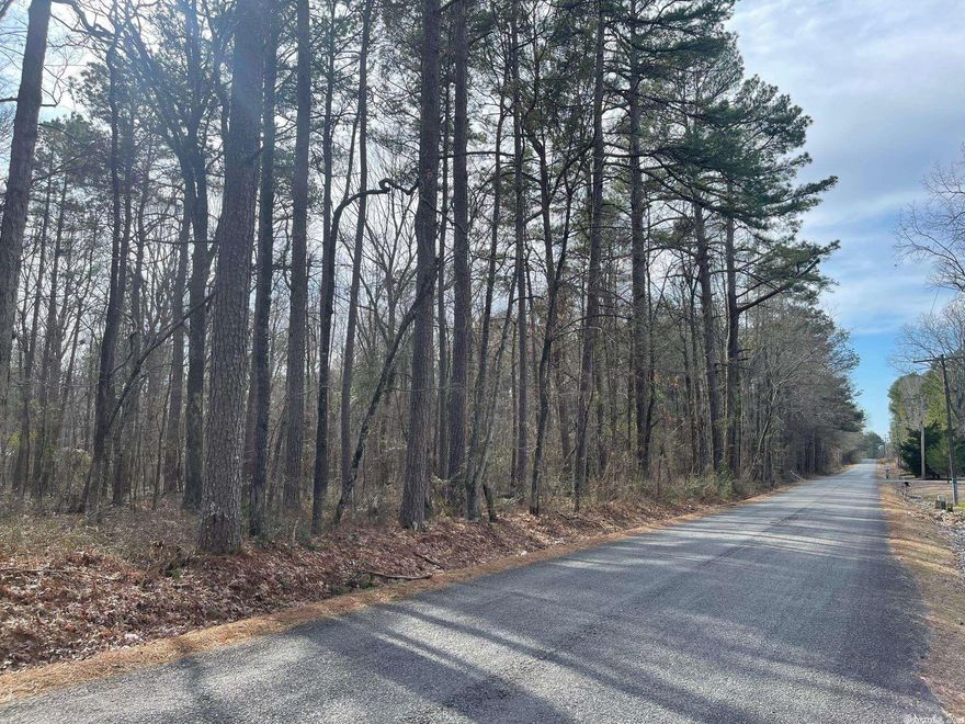 5 acres in Watson Chapel School District! FLAT, buildable land with plenty of trees for privacy. Area is quiet, close to town, and ready for you to build your dream home!