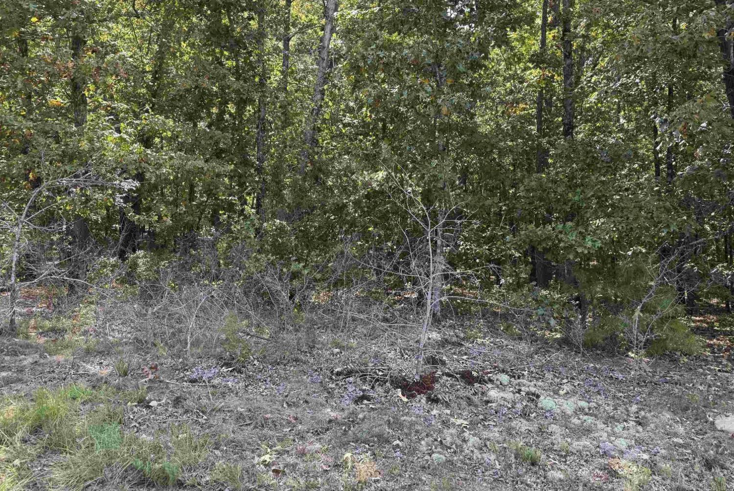 North Shore Oaks - Land