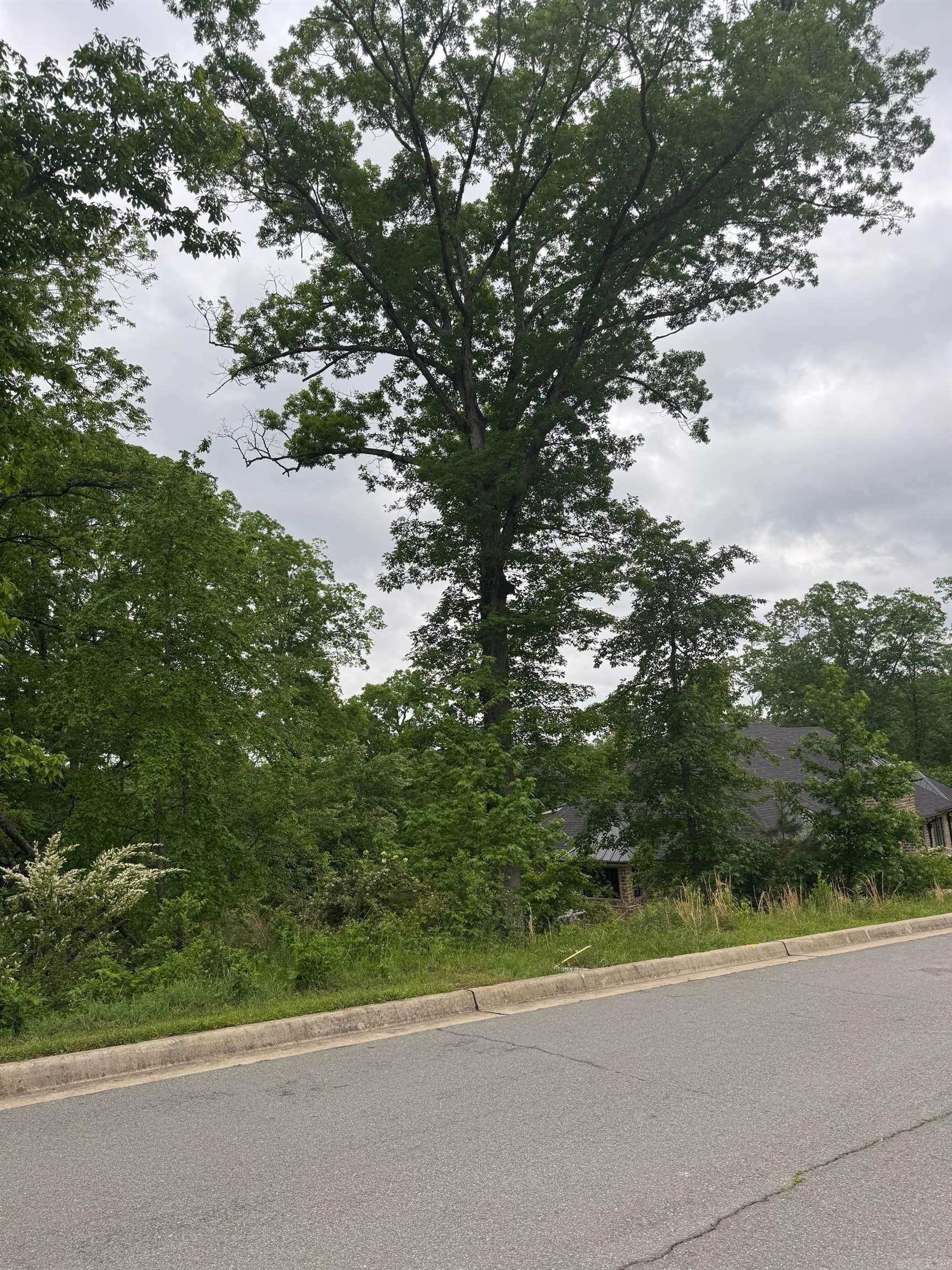 Build your own dream home in Woodland Edge Community. Great price and the last lot in the Preserve Area. Greenspace in back. Convenient location to dining, shopping, grocery and hospital. Hurry to see before it is gone.