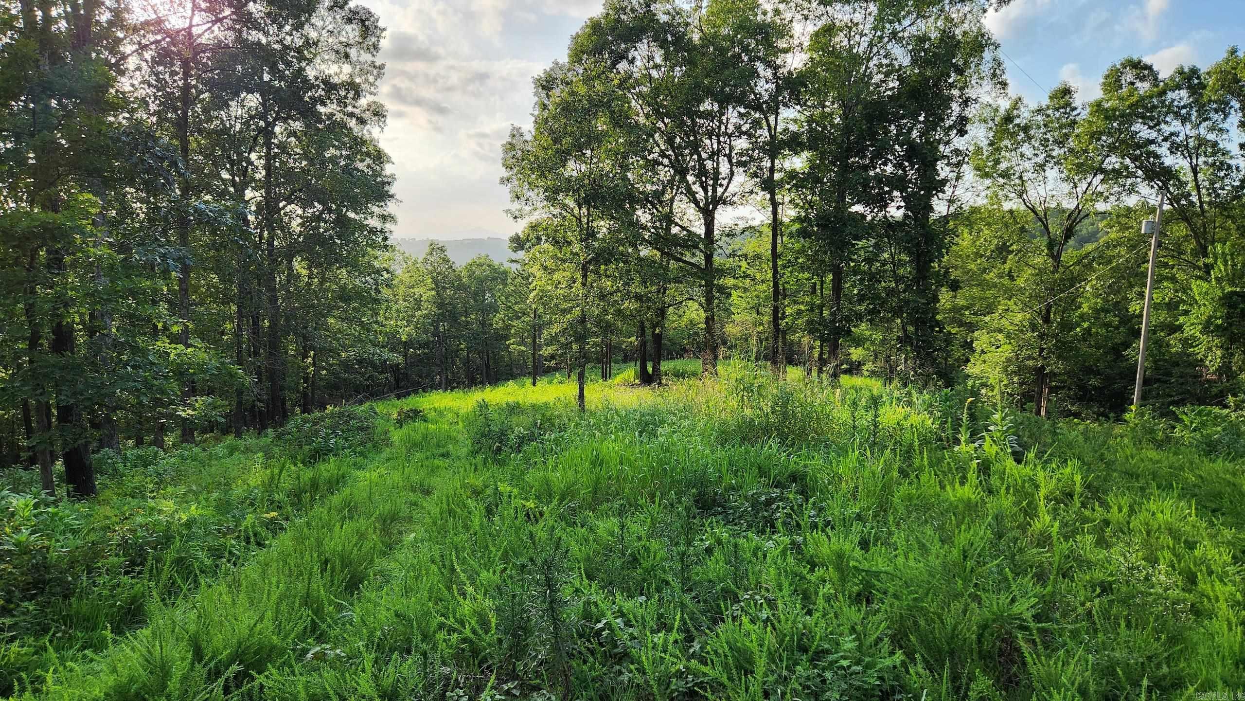 Not in Subdivision - Land