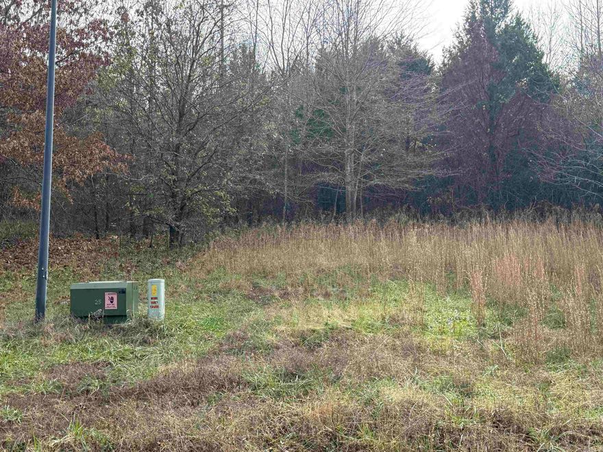 Welcome to Mountain Ranch Estates! This is a private gated community with large lots for all property owners. Lot 50 has a partial view of the community lake. This lot is within the Cabot School District. Approx 20 minutes from Cabot High School and only a few minutes from 67/167. Come checkout Mtn Ranch Estates gated community! This lot has Water, Electric, Gas & Fiber internet. This lot has a gentle slope and will provide a convenient location for easy access in and out of the neighborhood either via the Bailey Rd East side entrance or out the Main gate at the North entrance onto Lewisburg Rd.  This neighborhood boasts privacy, community, & a private lake too! Come visit today! See Agent Remarks.