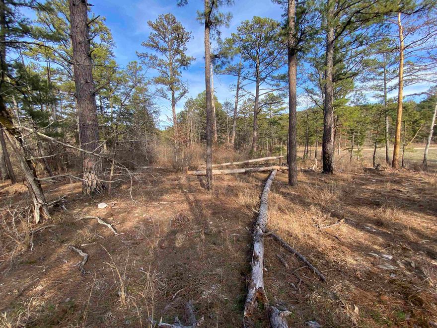Looking for a rural place to get away? This 3.19 acre  building lot is just ½ mile from the scenic White River and a public boat ramp, offering quick access for fishing, floating, or a day on the water. The property features a blend of open space and mature timber, creating several beautiful building sites for your cabin, vacation retreat, or forever home. Enjoy the convenience of rock road frontage and easy year-round access, with electric service available in the area. The land would also make an ideal off-grid property, with space for a garden or small homestead after a bit of cleanup. Whether you’re dreaming of weekend escapes or a quiet life close to nature, this parcel offers excellent potential at an affordable price.