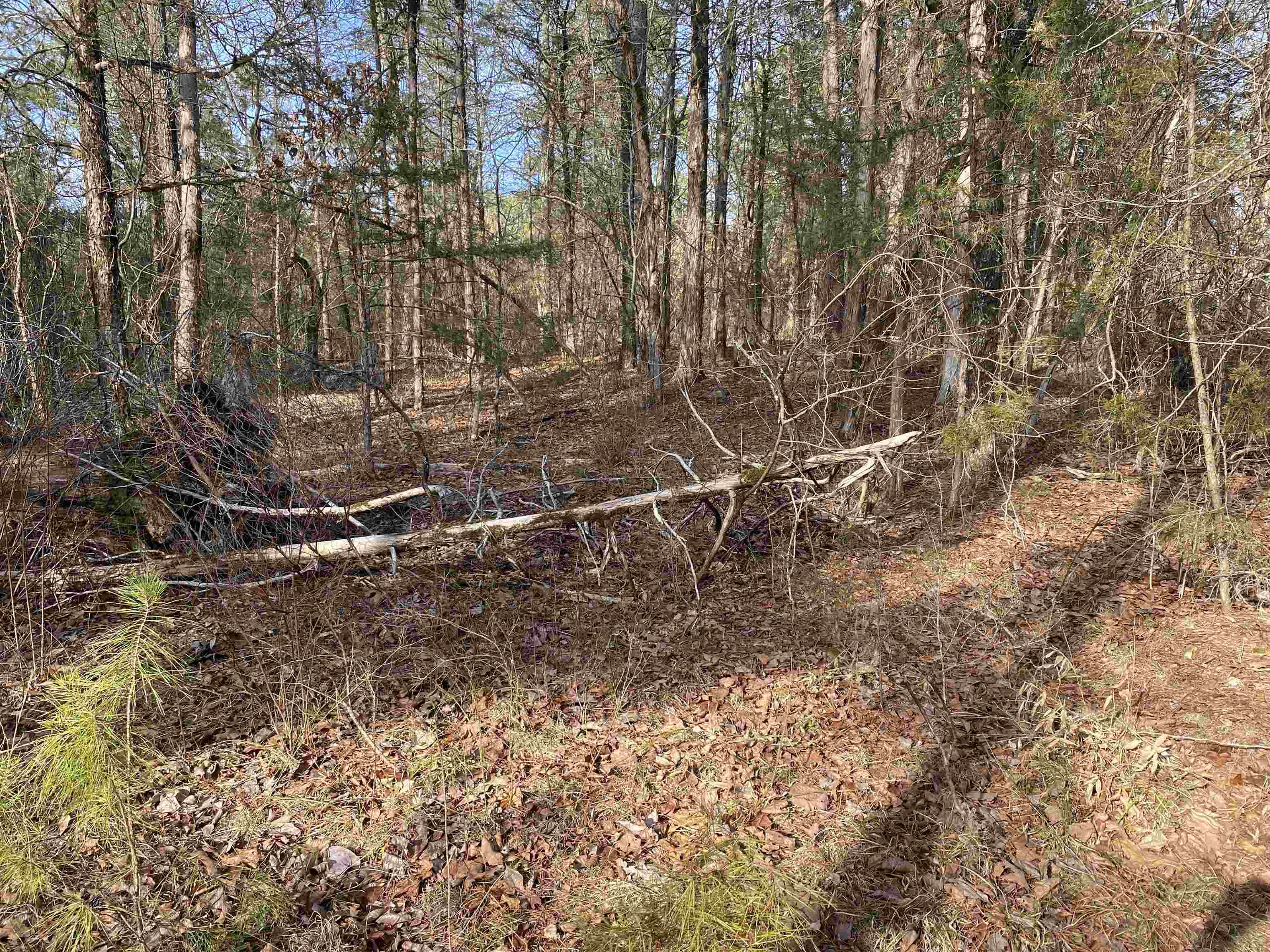 Metes & Bounds - Land