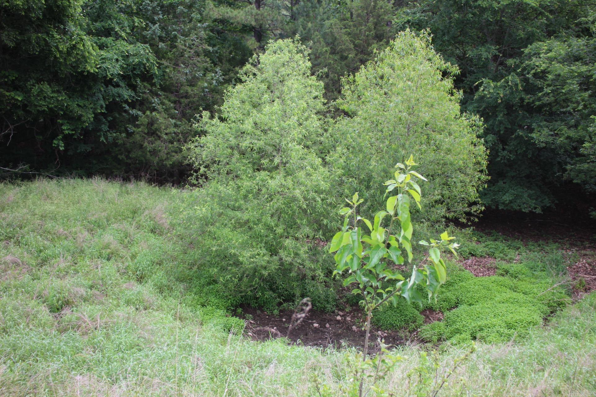 Not in Subdivision - Land