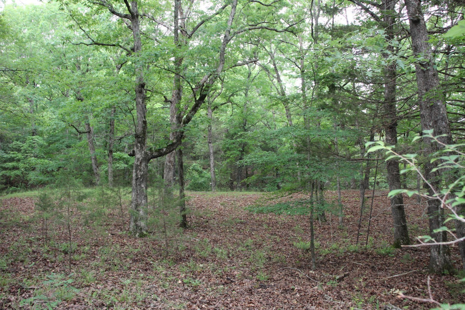 40 M/L acres full of beautiful hardwoods and large pine trees. There is a hay field and a small spring. The property is located within 10 minutes of public access on Bull Shoals Lake. There is a perimeter fence and property is being sold with what is under fence. Bring your horse, build your house or just set up your small hobby farm.