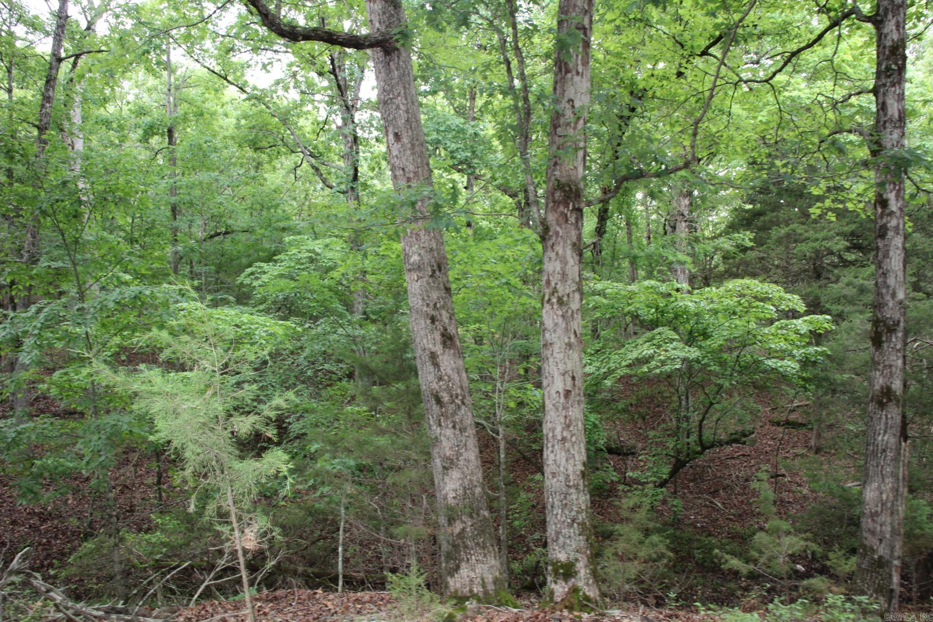 Not in Subdivision - Land