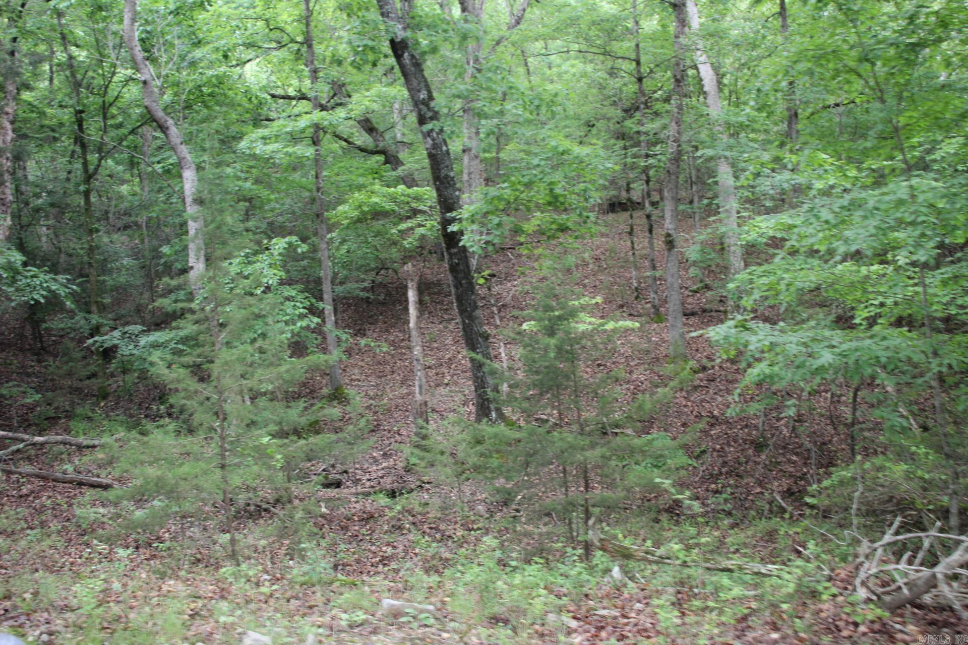 Not in Subdivision - Land